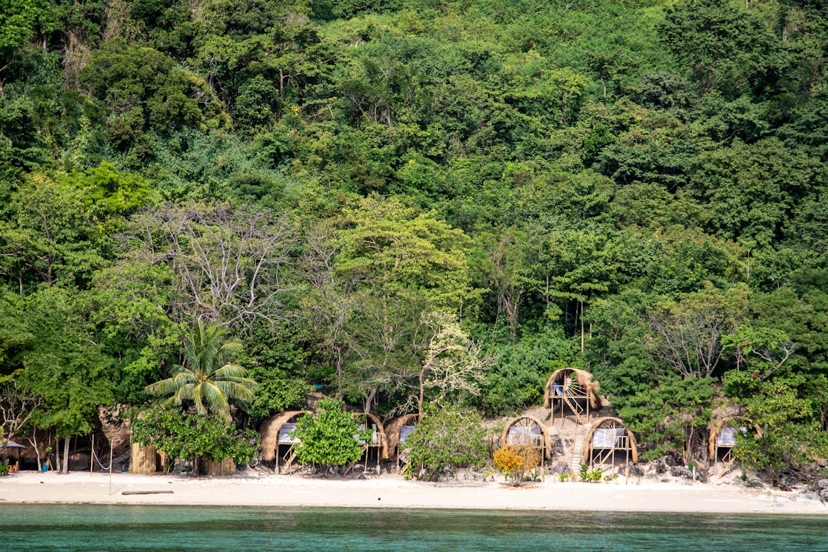 cleantech related image for: Forbes: World Tourism Day 2025 Focuses on Sustainable Travel Transformation