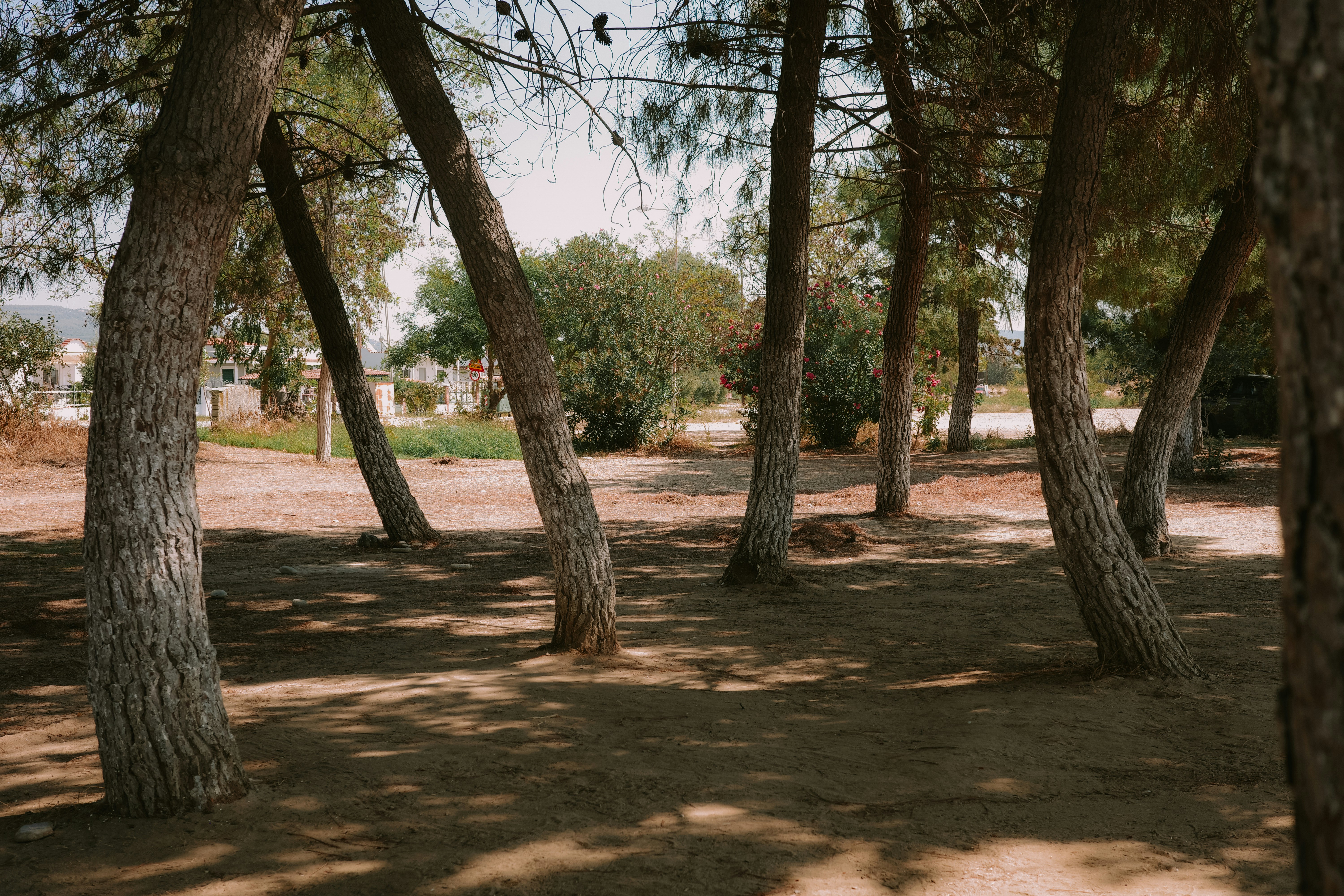 Photo by virginiaphotostories