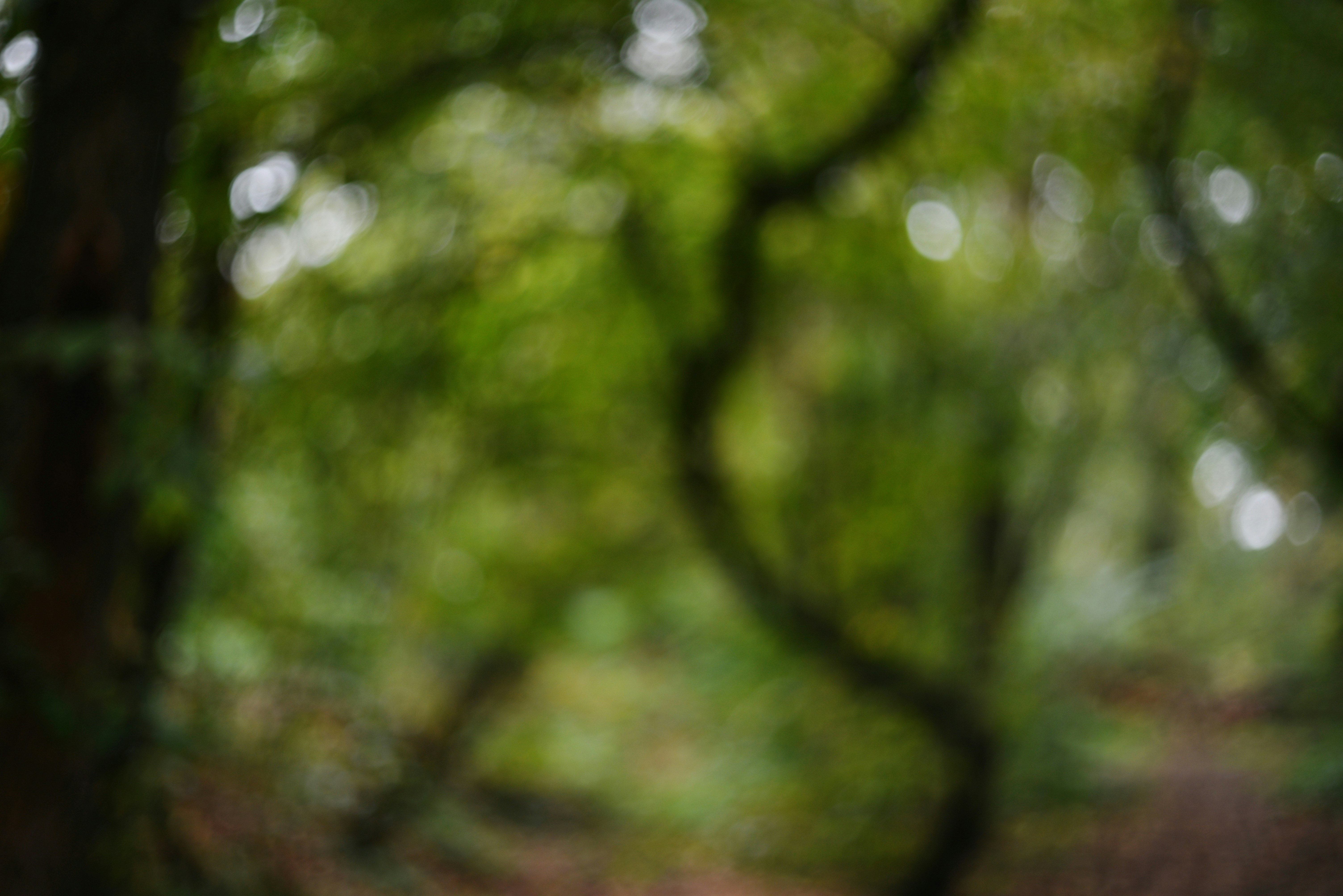 Photo by cherstve_pechivo