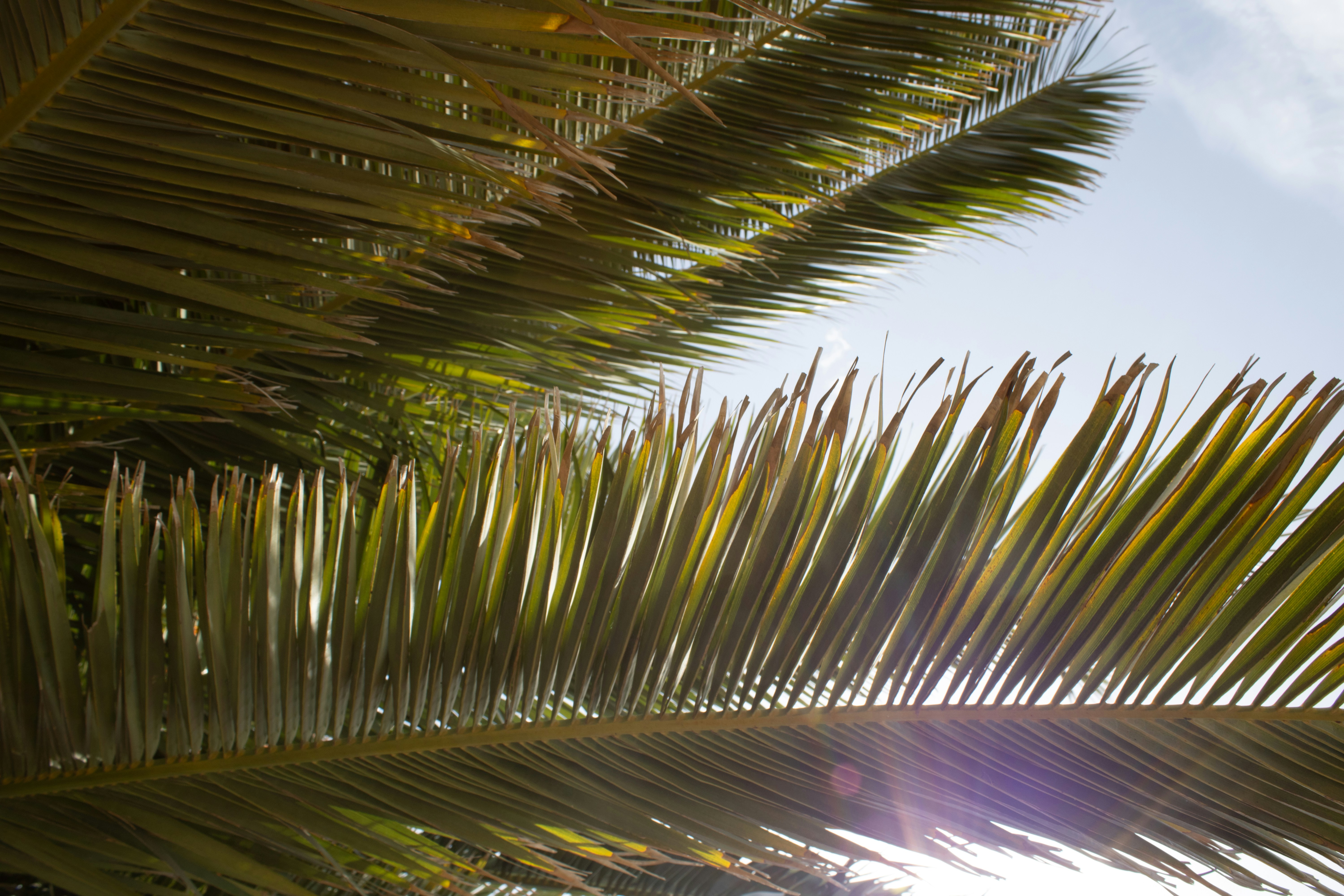 Photo by naomidekker