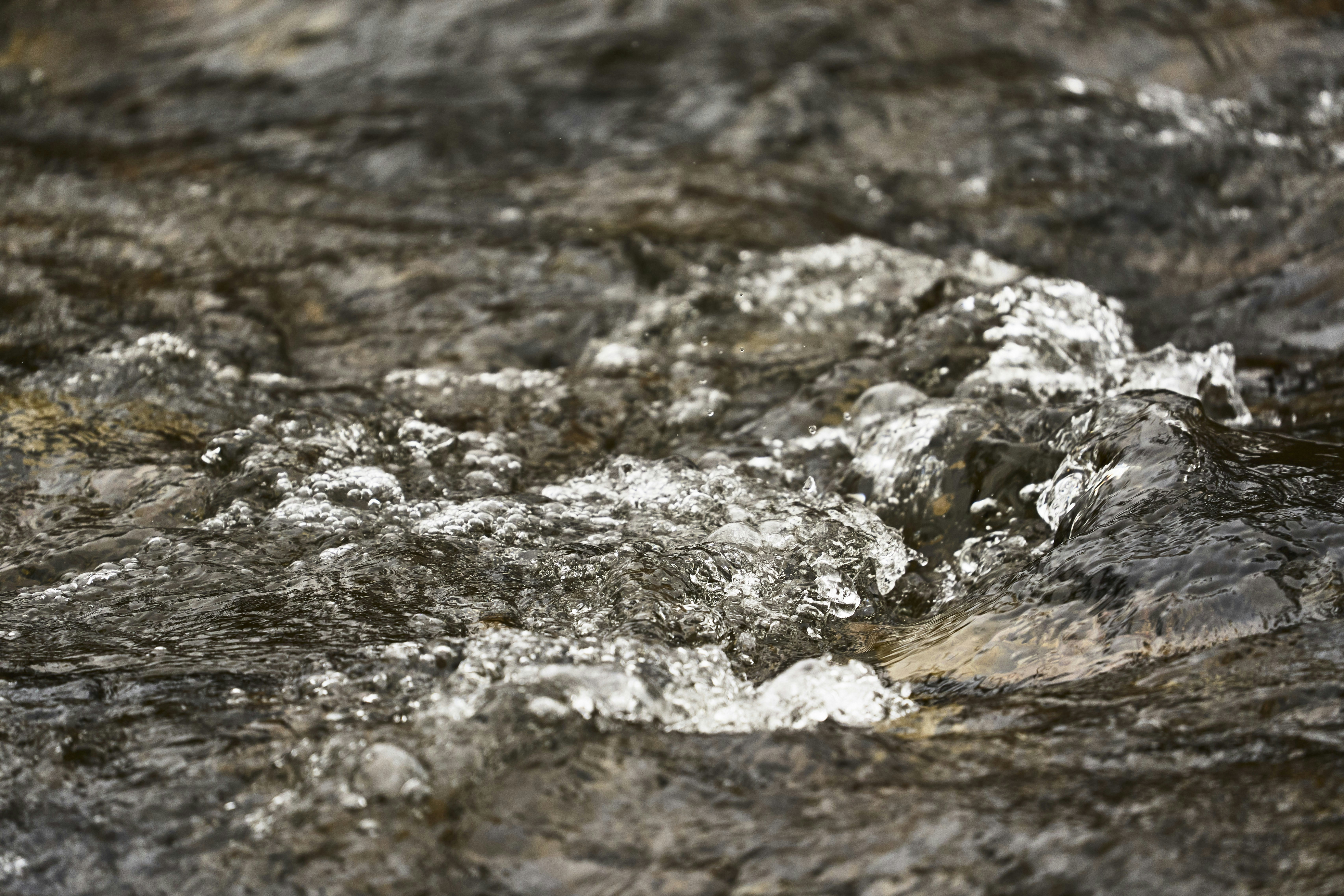 Photo by wolfgang_hasselmann