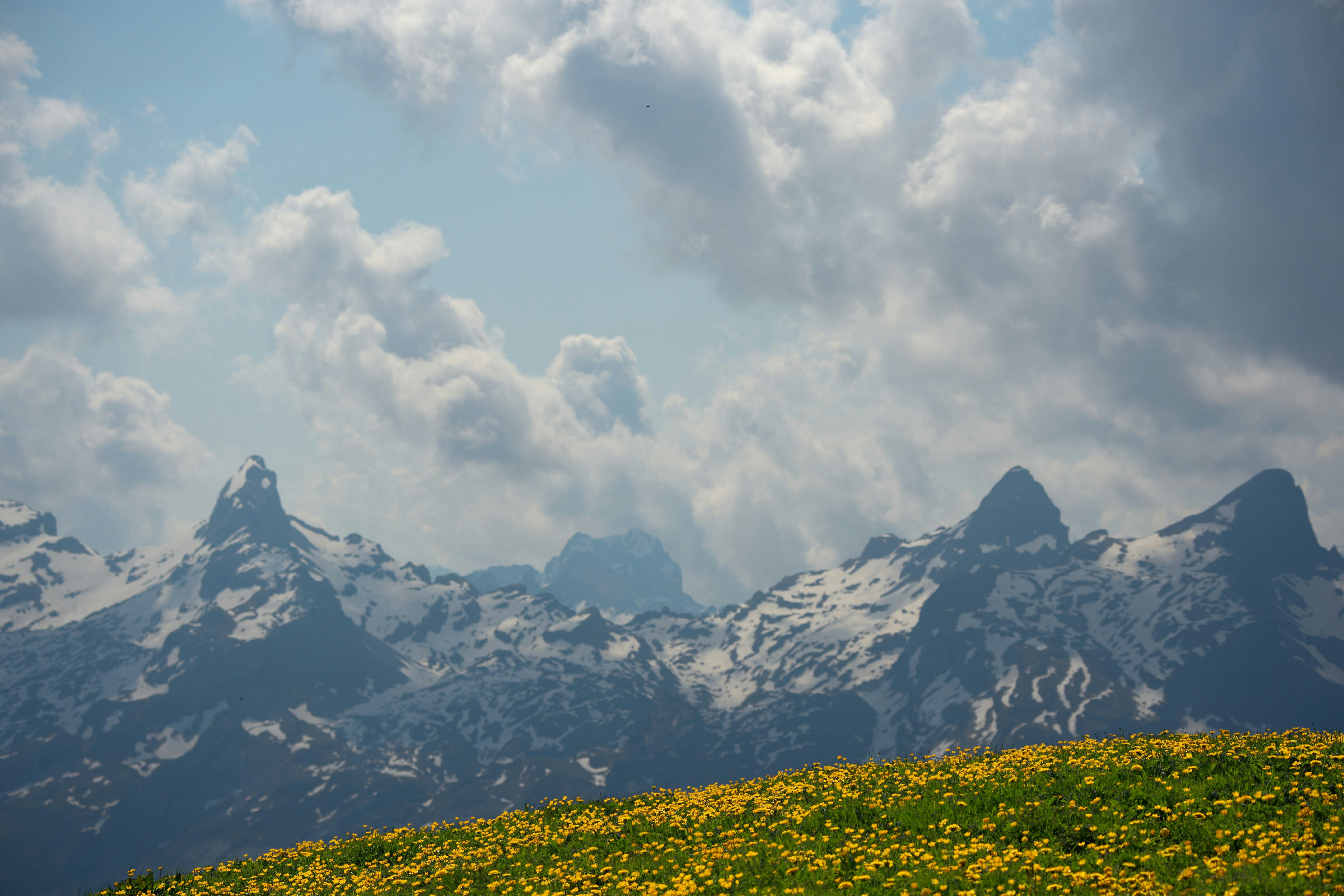 Photo by wolfgang_hasselmann