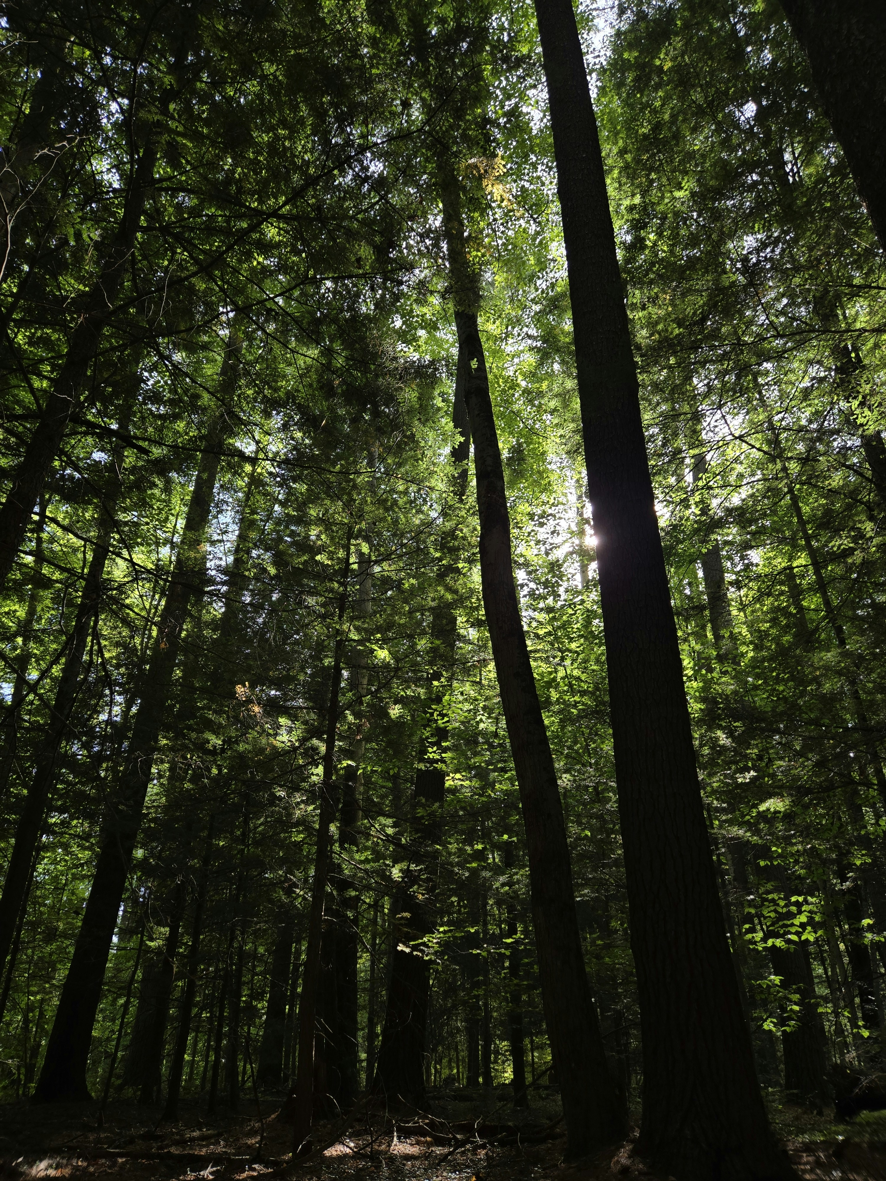 Photo by get_grounded