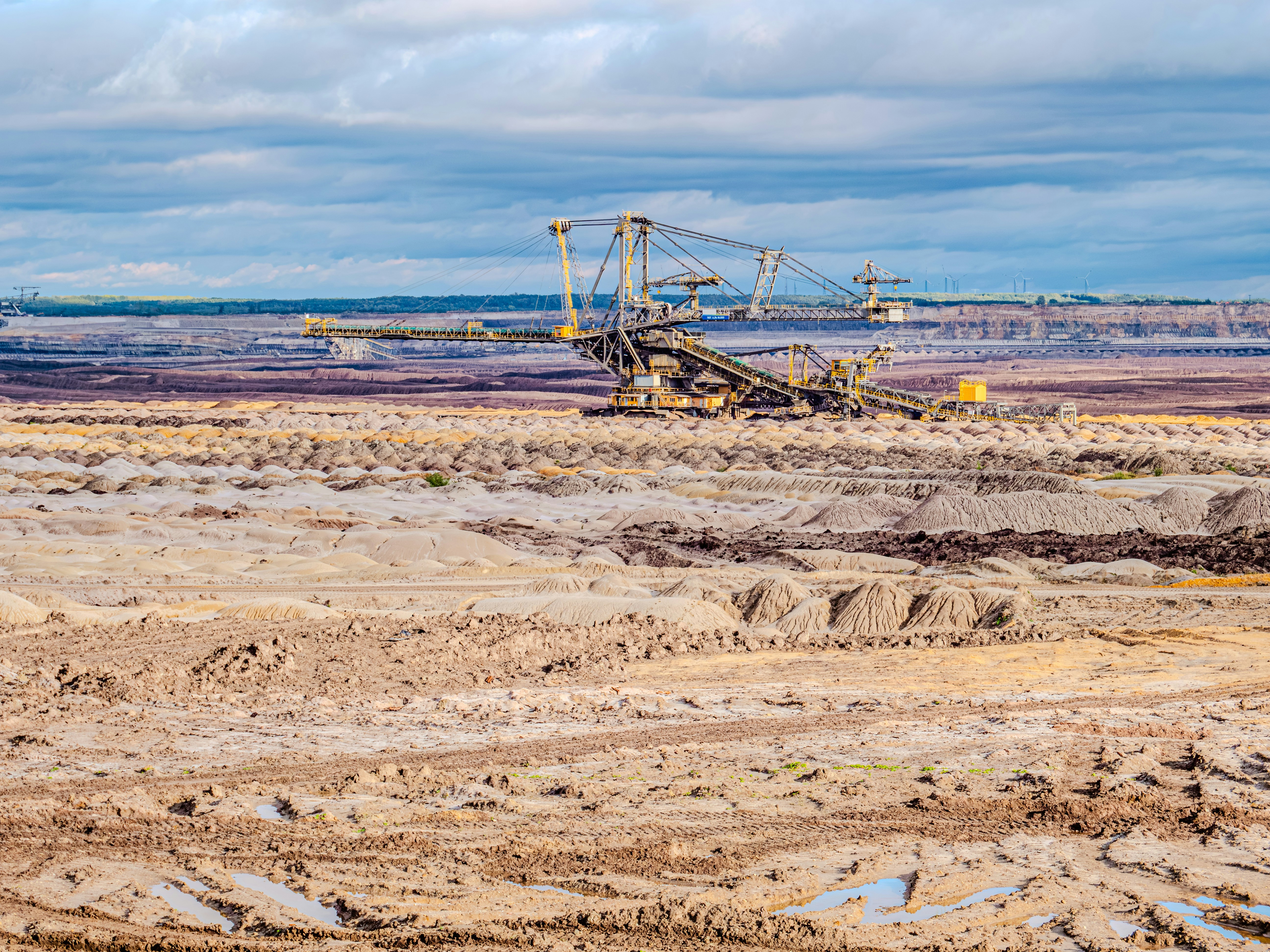 Photo by sschusterphotoart