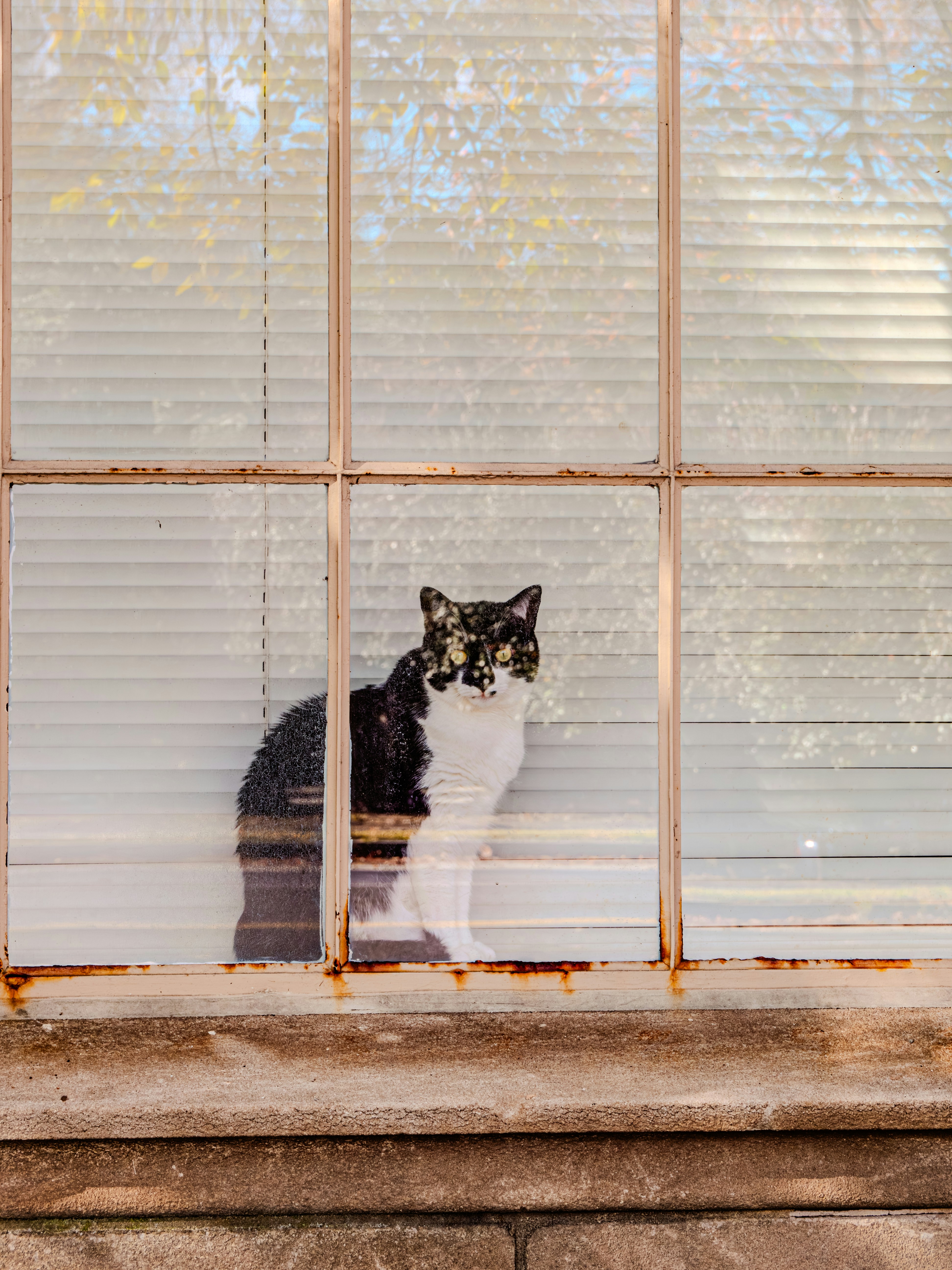 Photo by sschusterphotoart