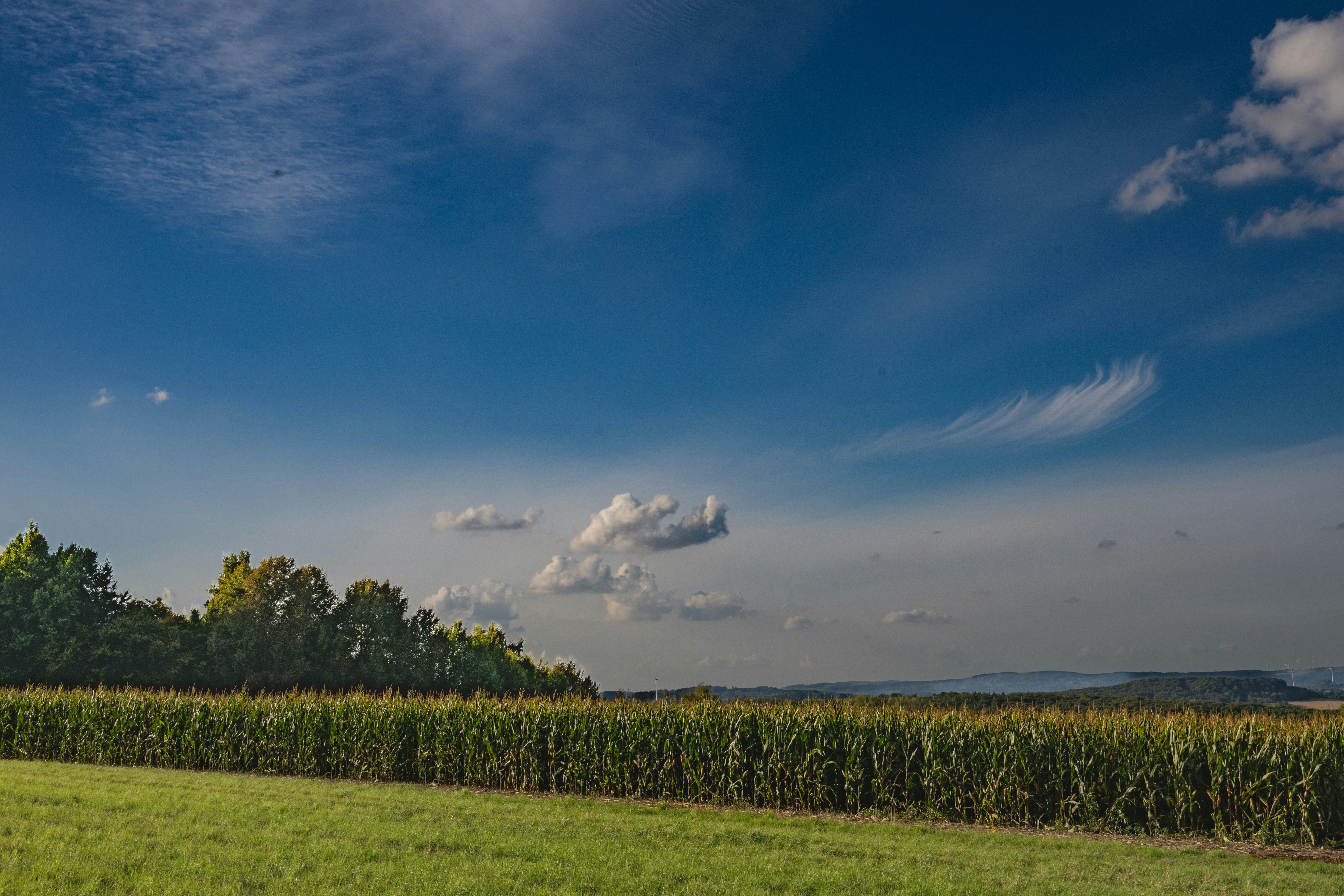 Photo by siegfriedpoepperl