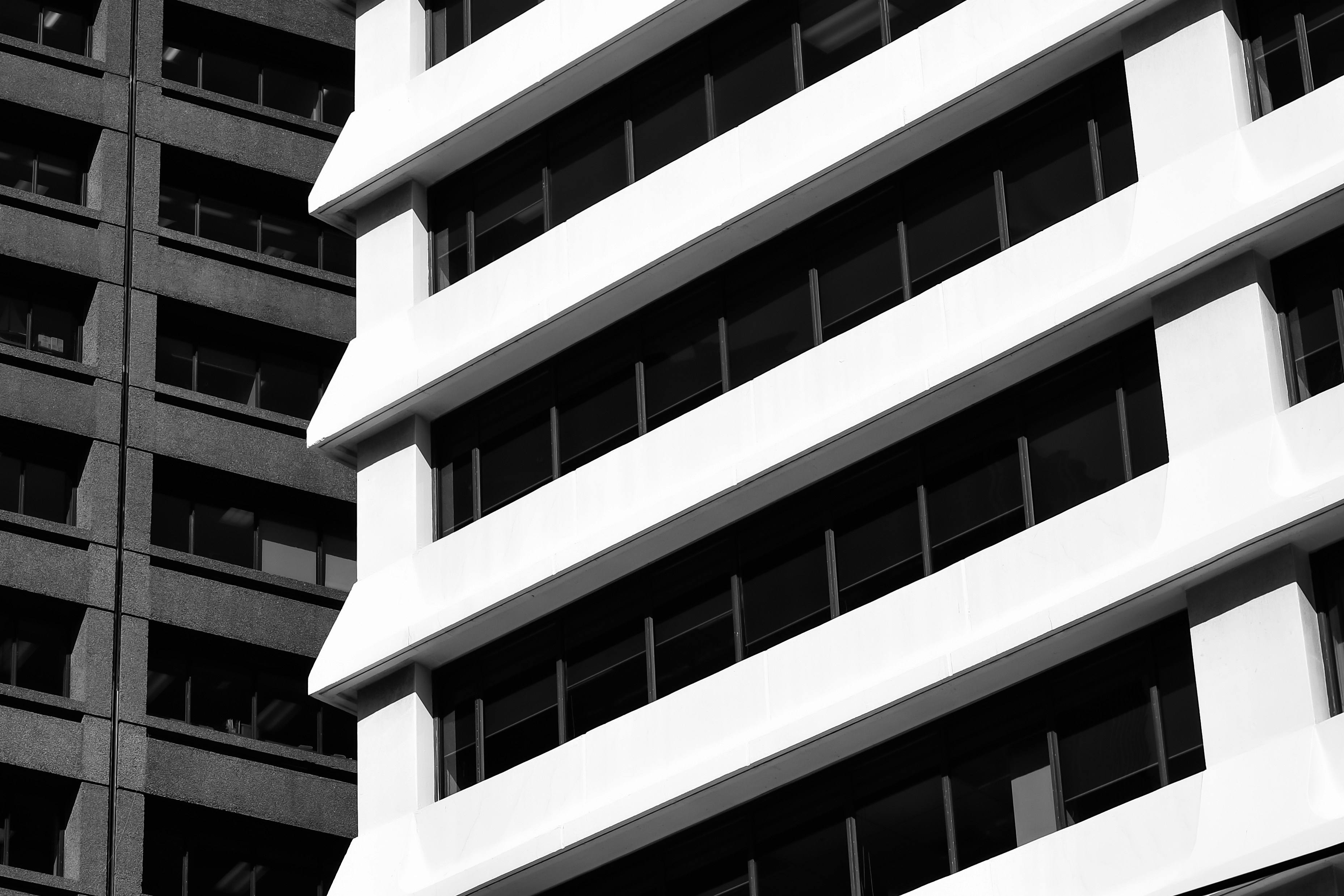 Photo by sschusterphotoart