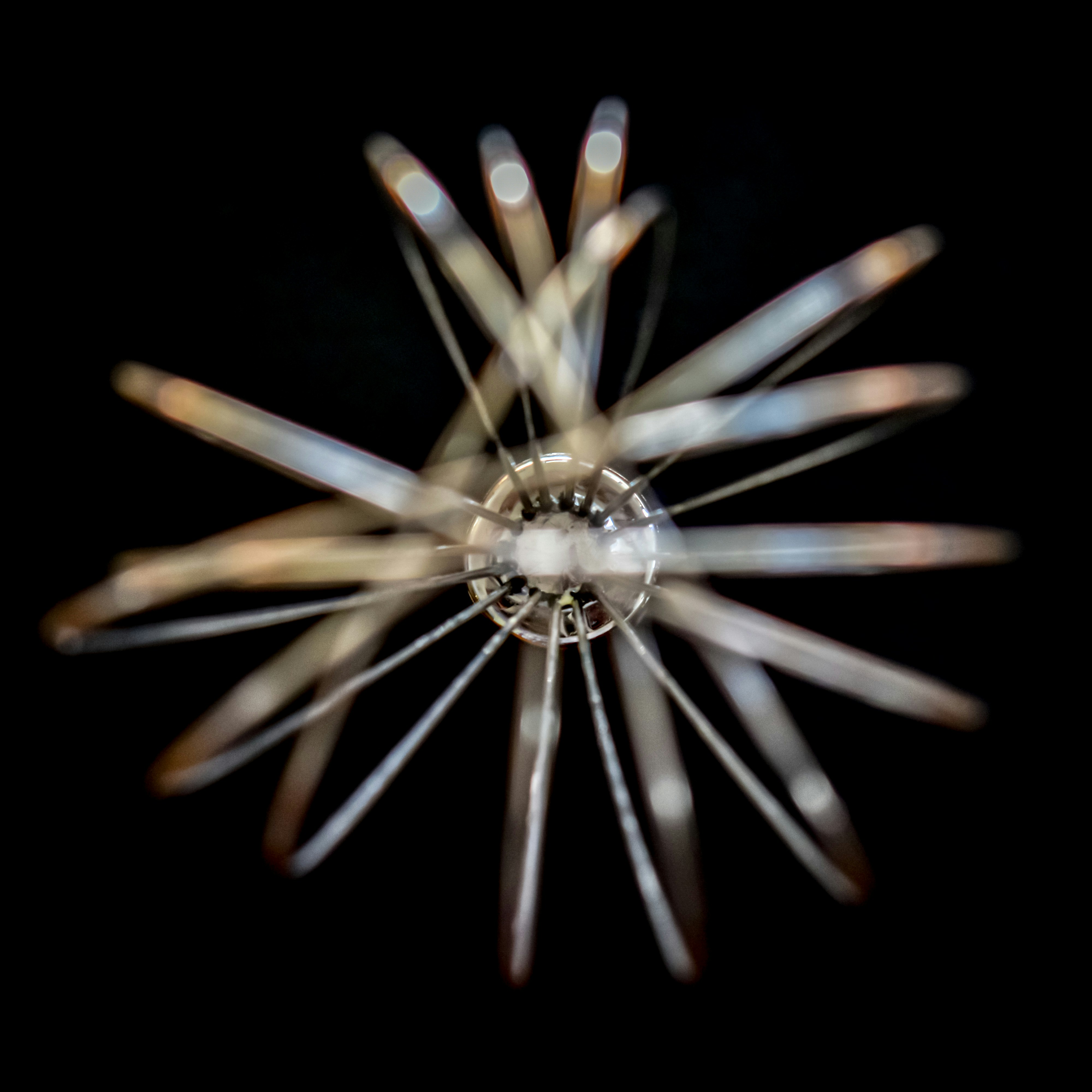 Photo by sschusterphotoart