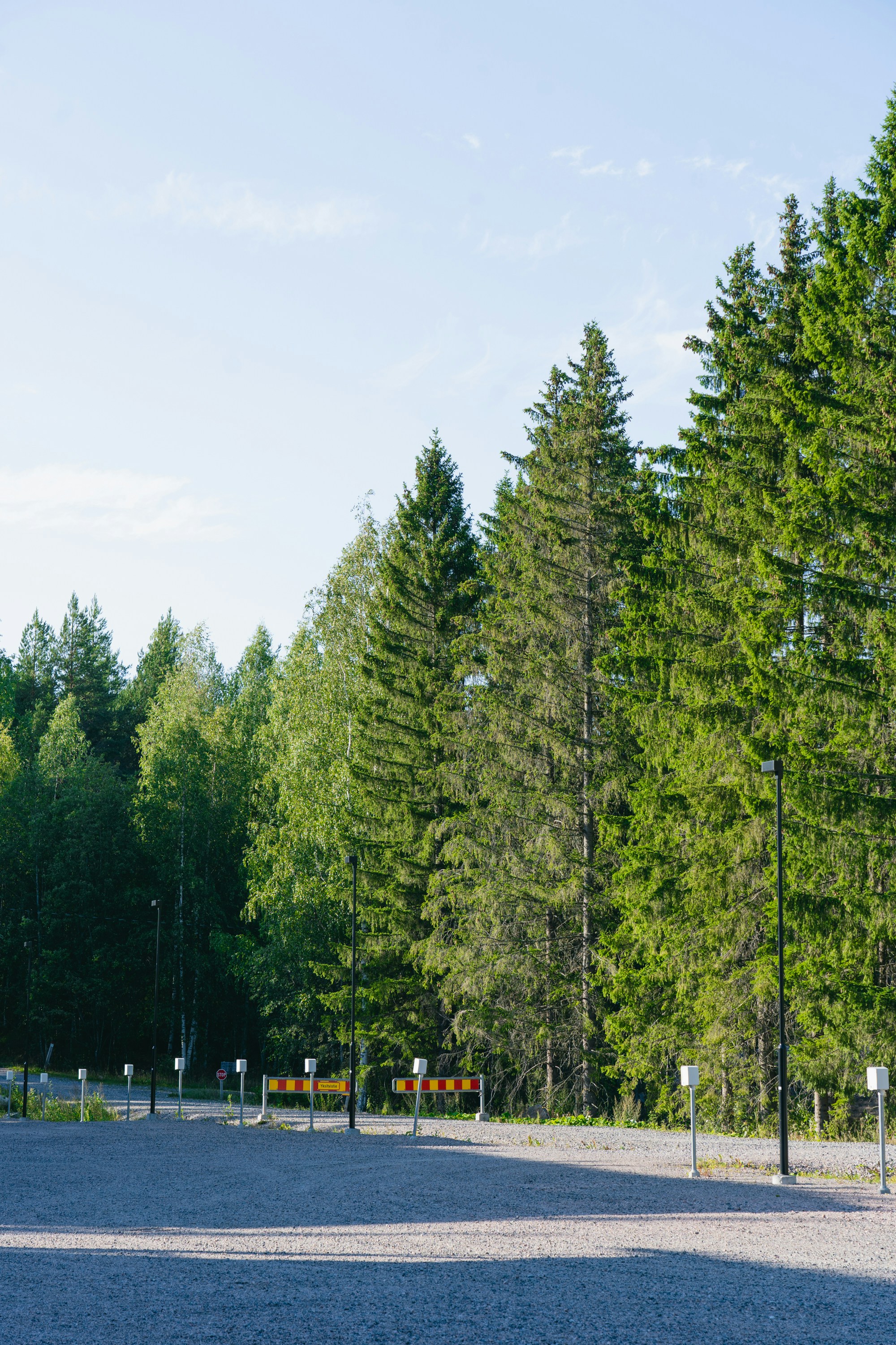 Tall evergreen trees line a gravel parking lot.