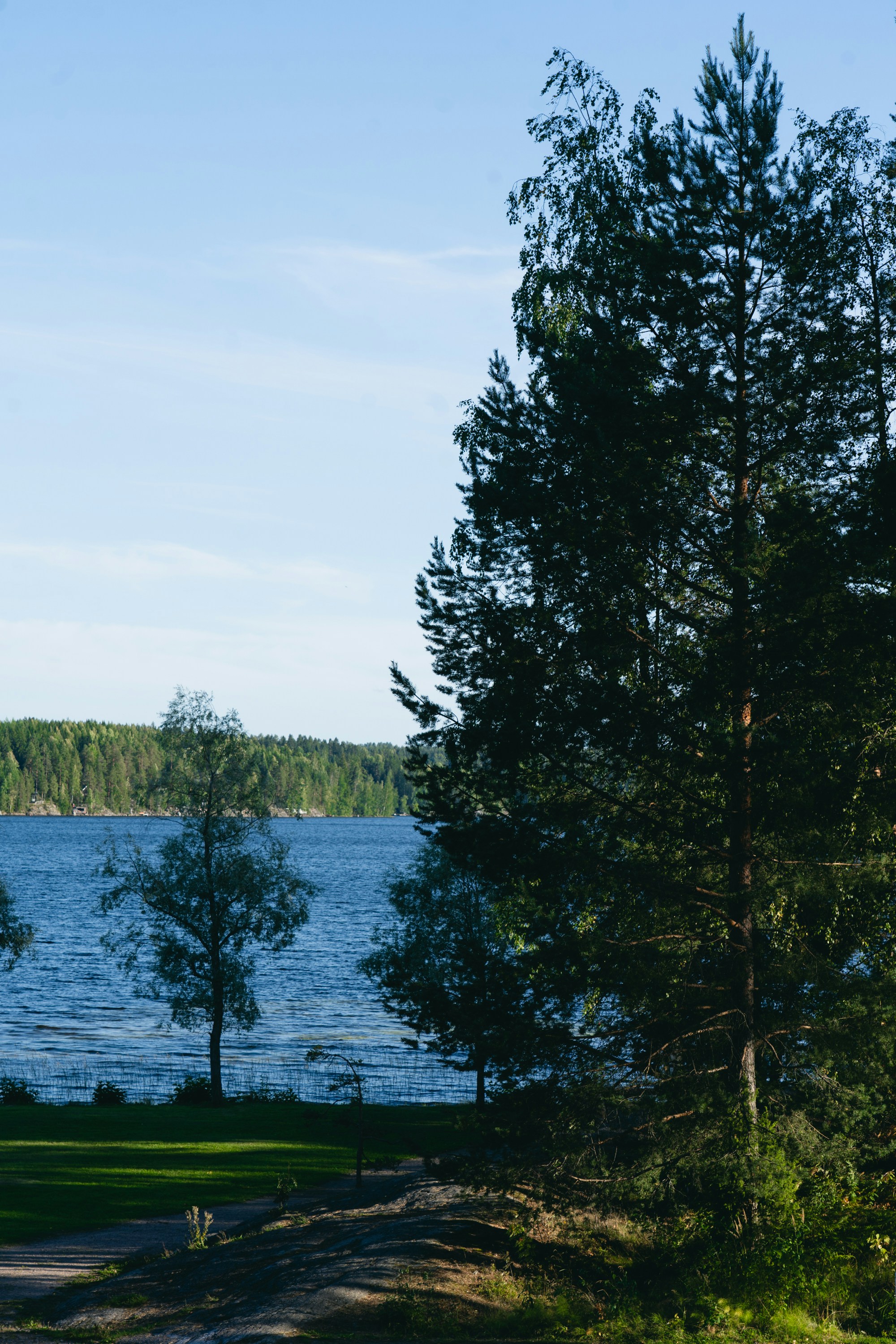Trees by a calm blue lake under a clear sky