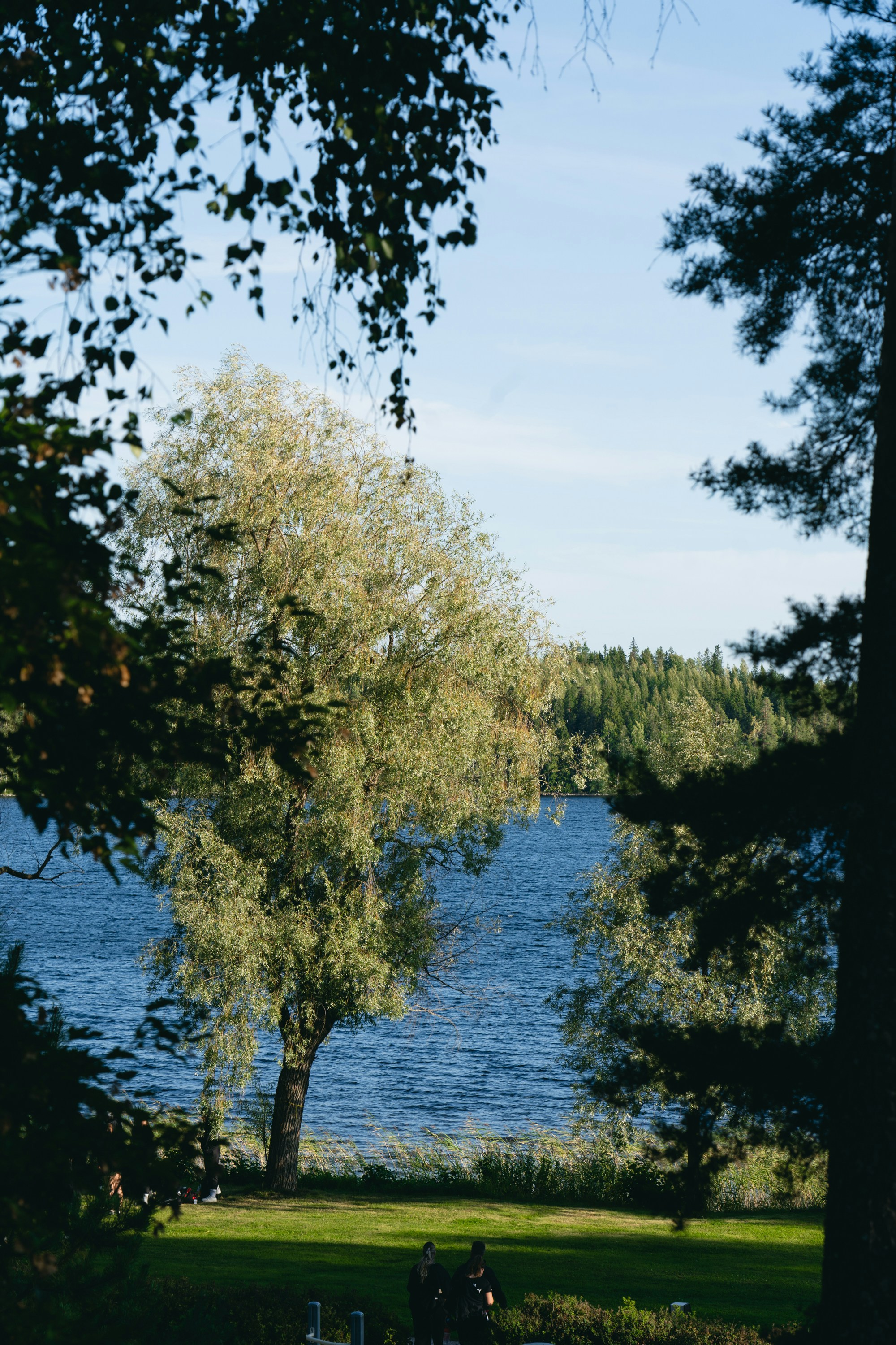 Tranquil lake surrounded by trees and foliage