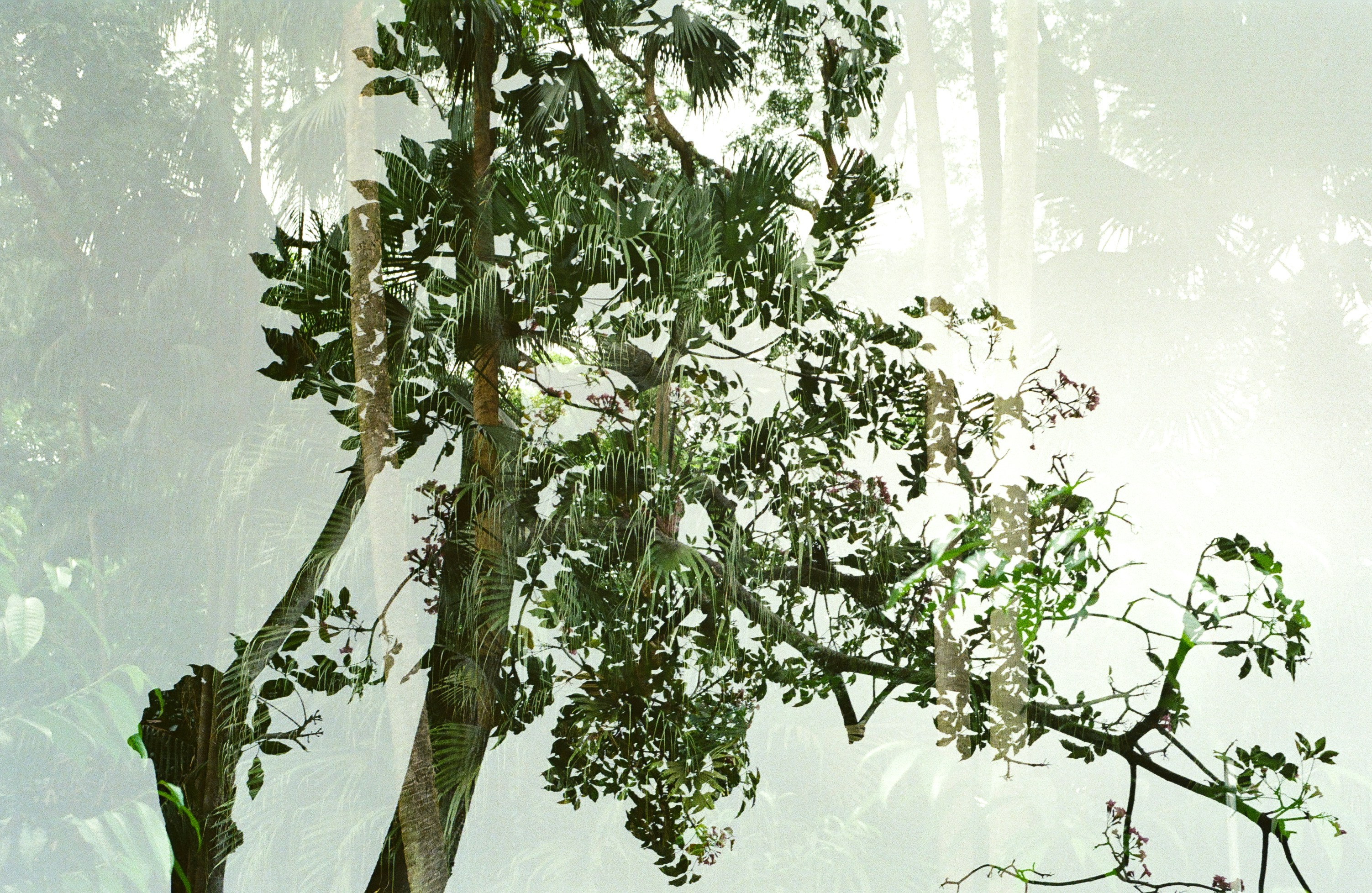 What To Expect On Your Kid'S Launching Day In Kindergarten