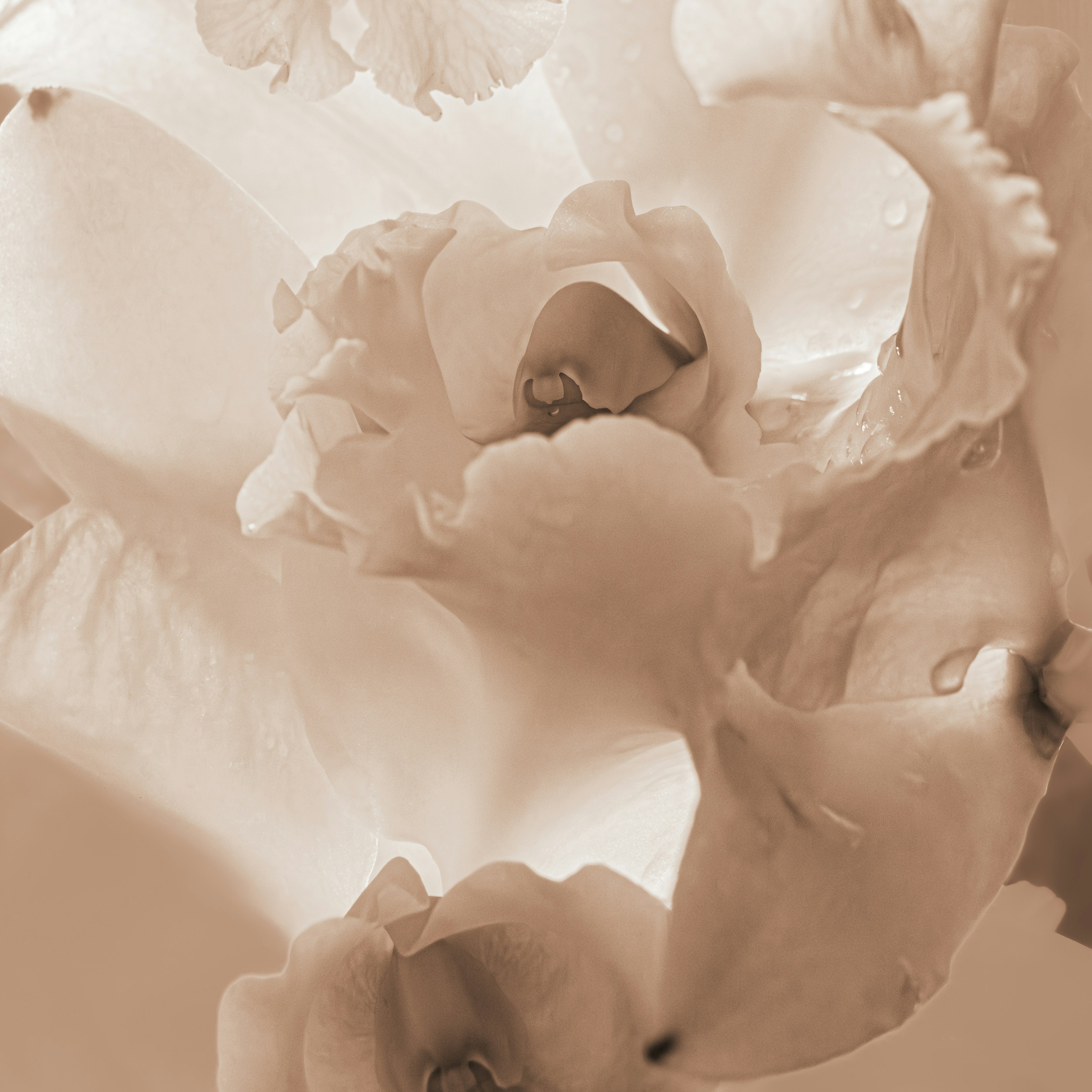 Photo by sschusterphotoart