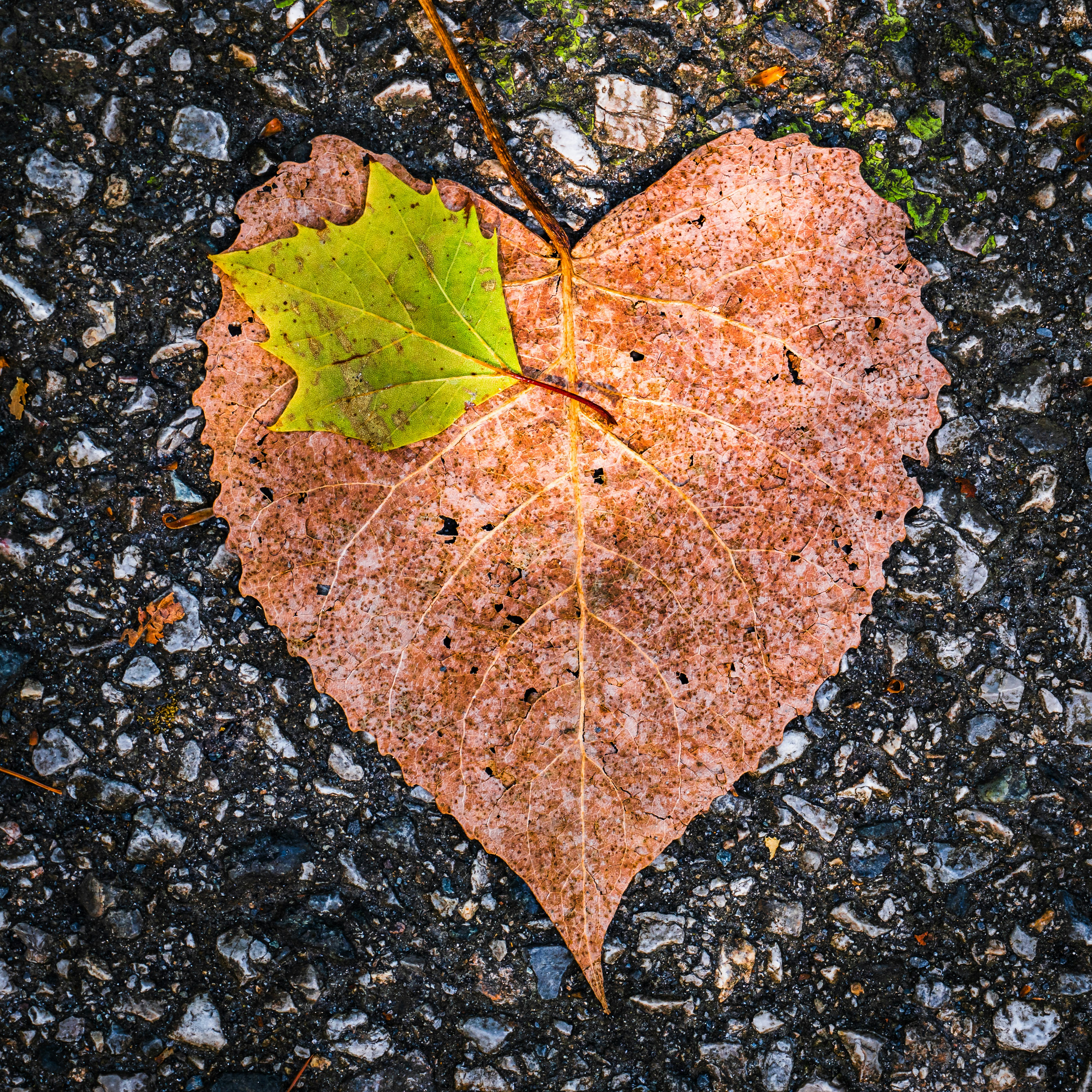 Photo by sschusterphotoart