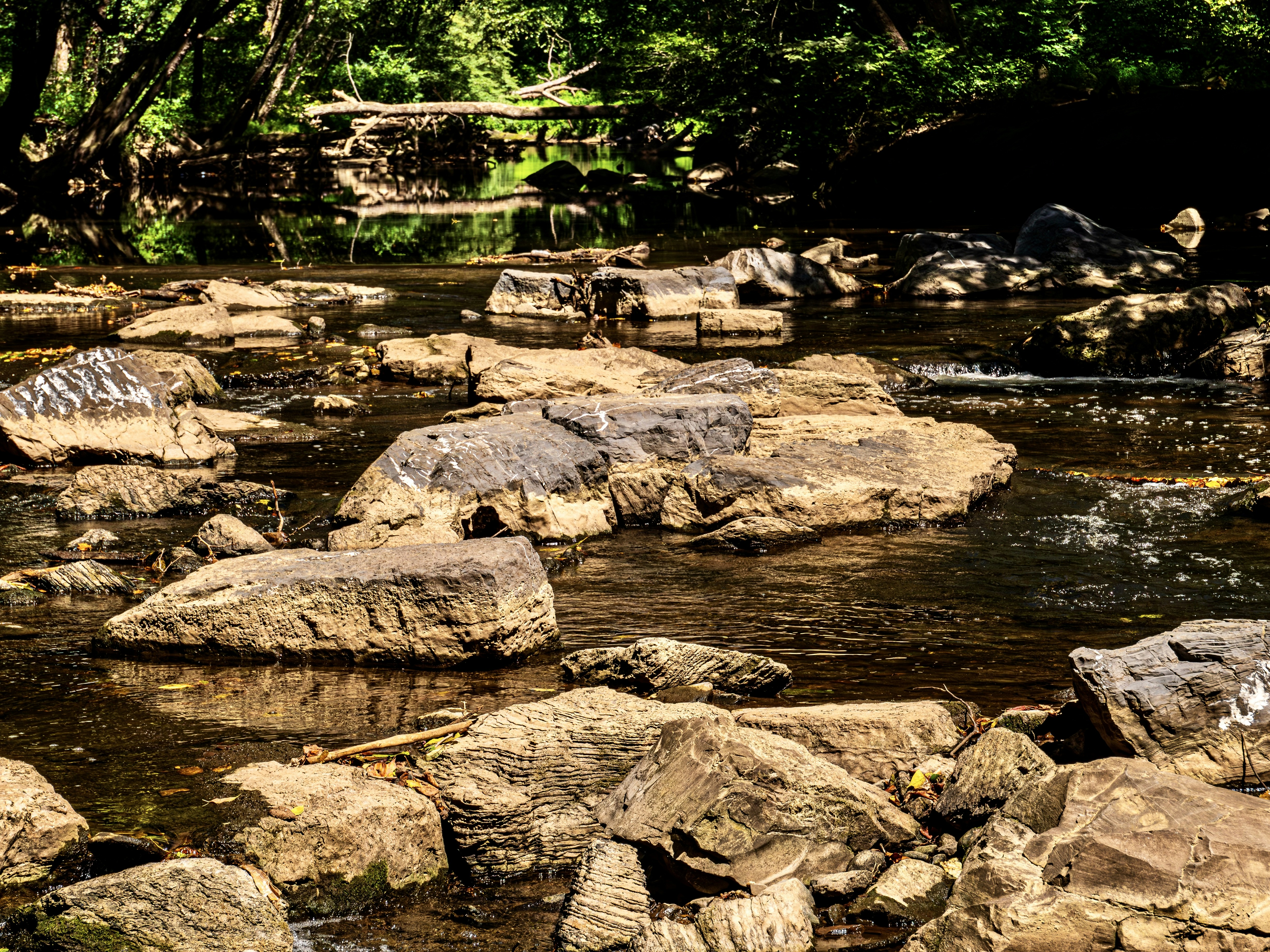 Photo by sschusterphotoart