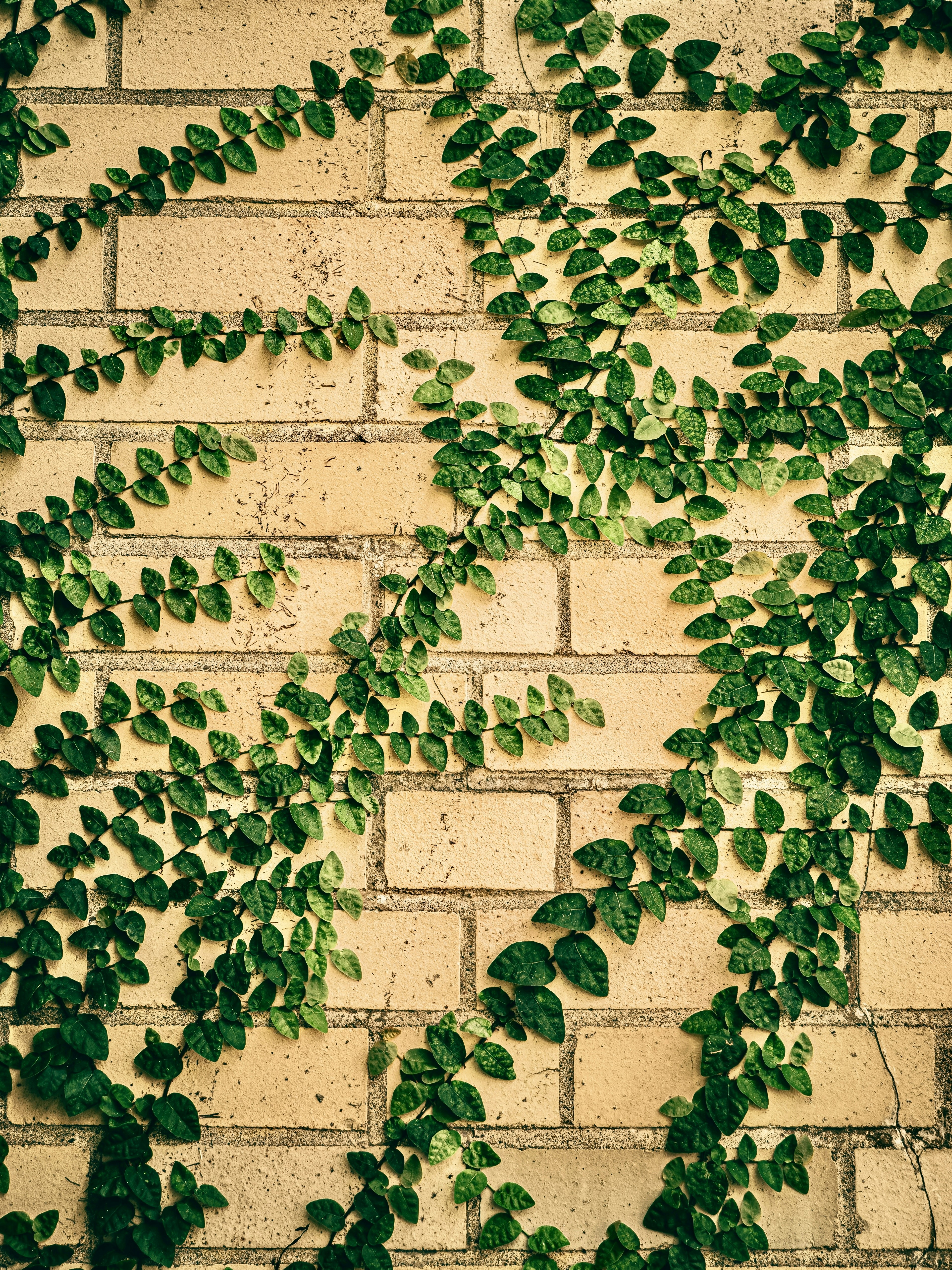 Photo by sschusterphotoart