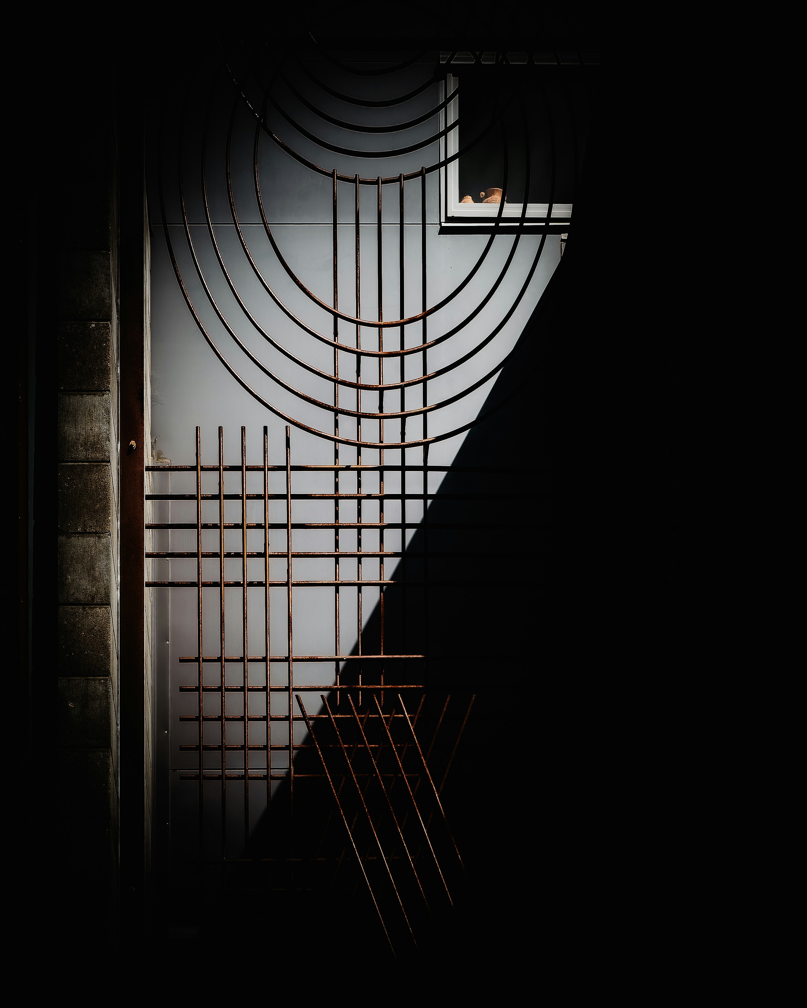 Photo by sschusterphotoart