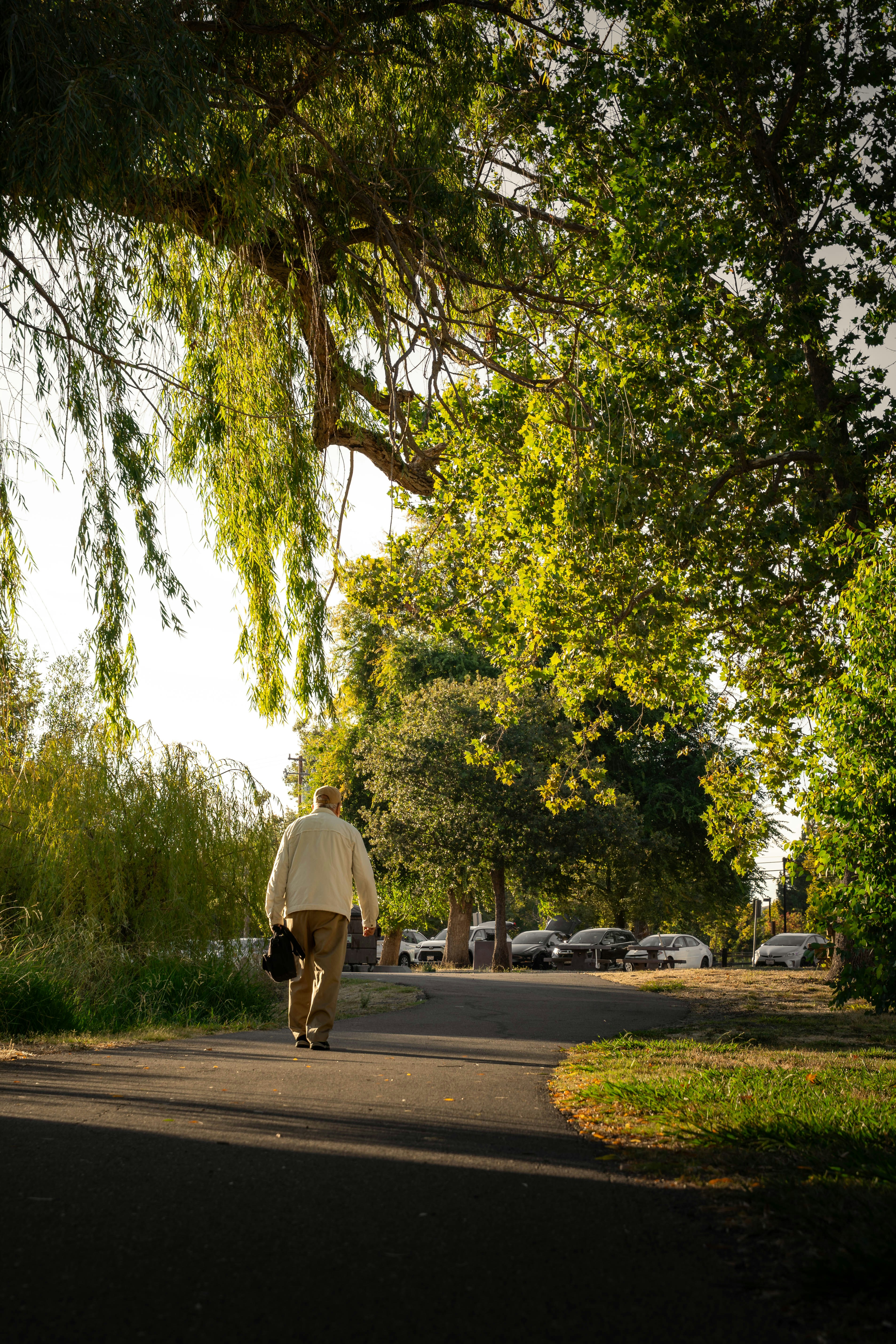 Seeing Yourself as Active, Vitamin B12 Deficiency Symptoms, and Why Travel Insurance Matters for Seniors