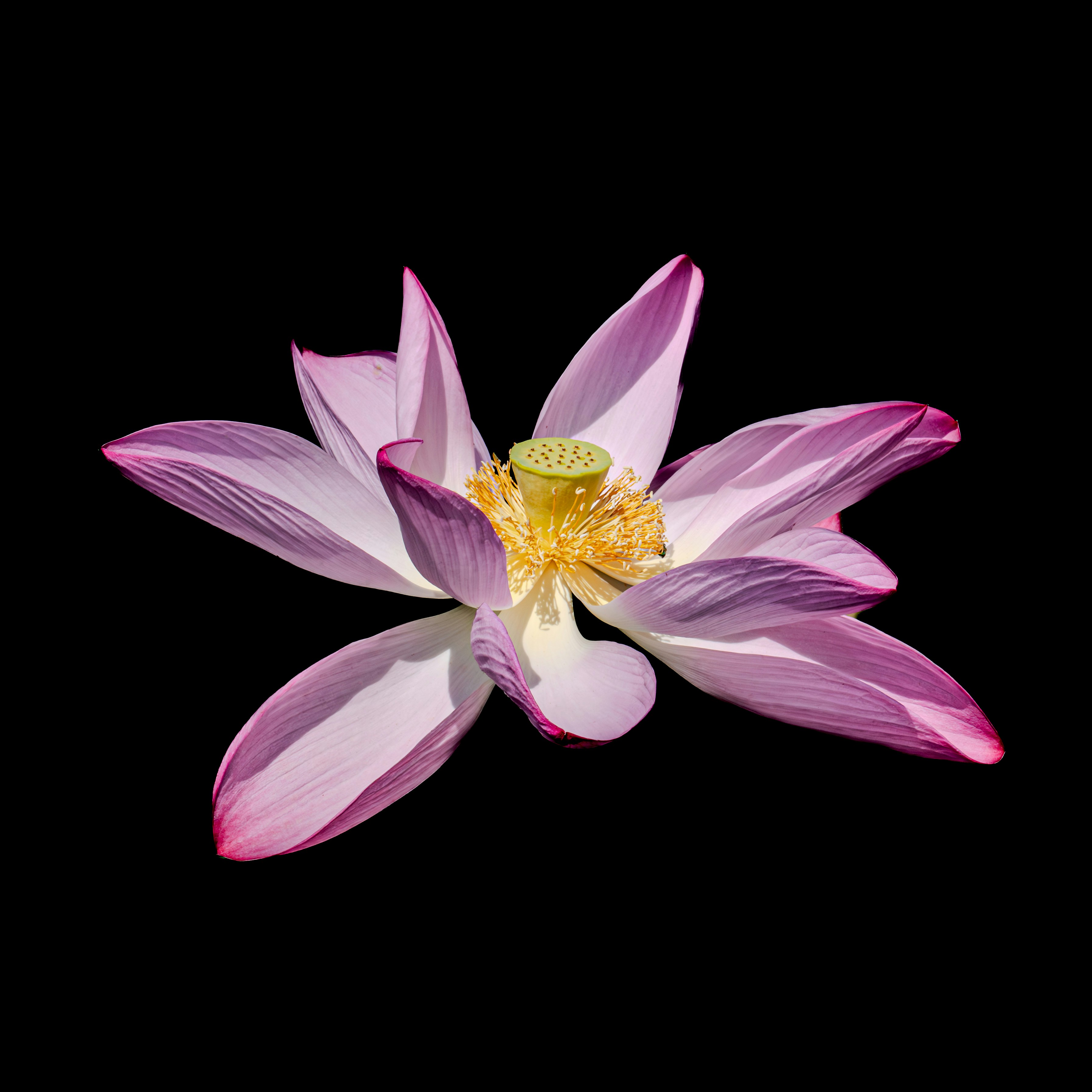 Photo by sschusterphotoart