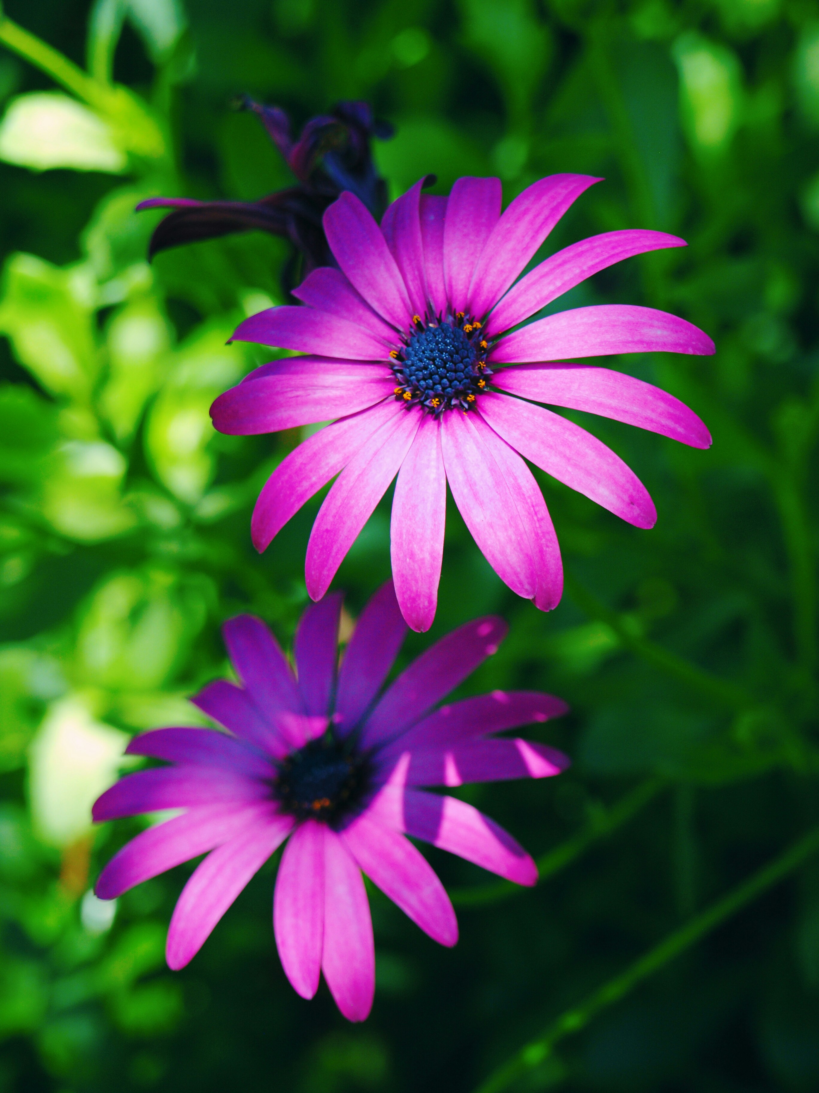 Photo by lutruwita_exposure