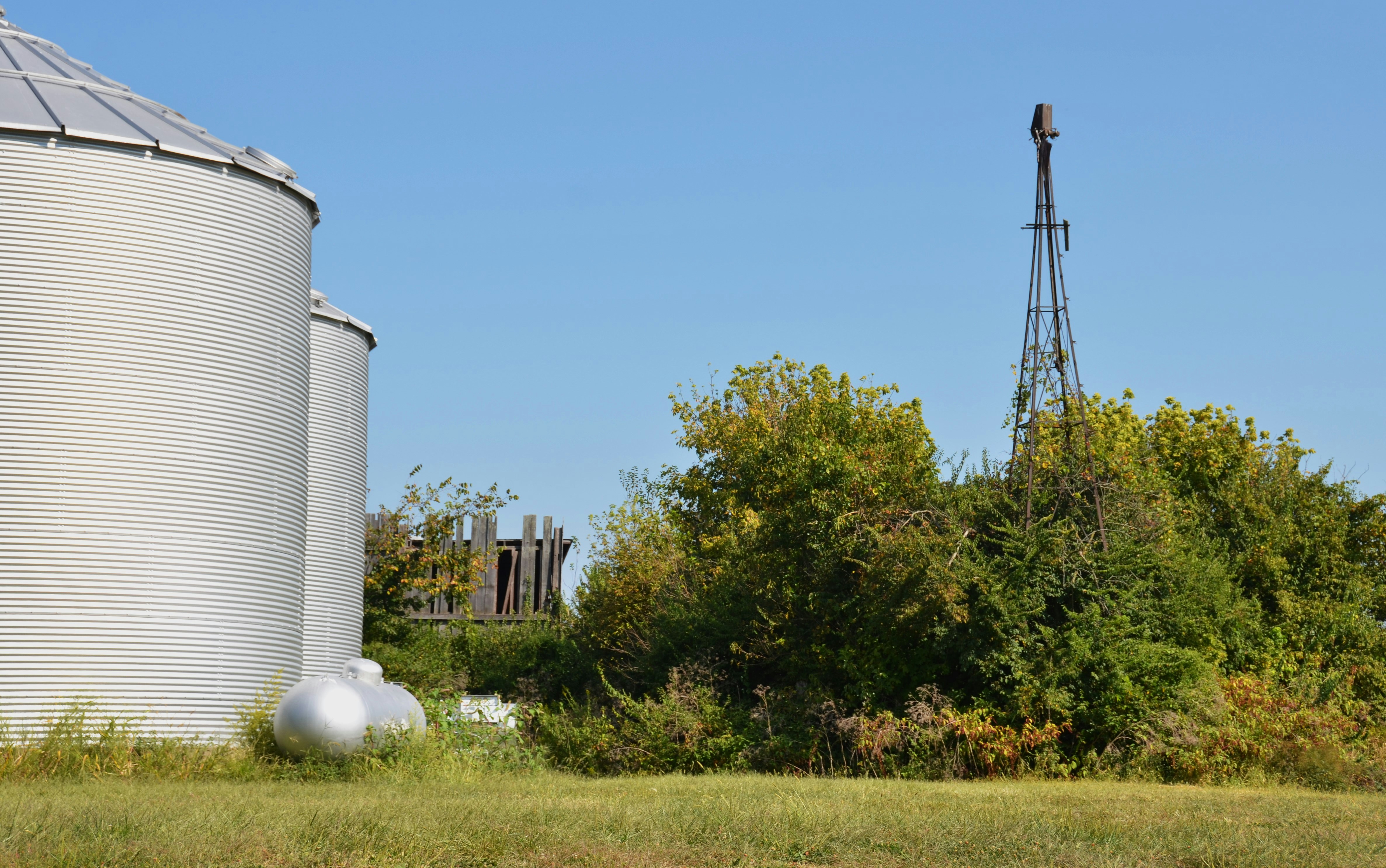 Community Cold Storage on a Budget: How Garden Co-ops Can Share Refrigerated Containers