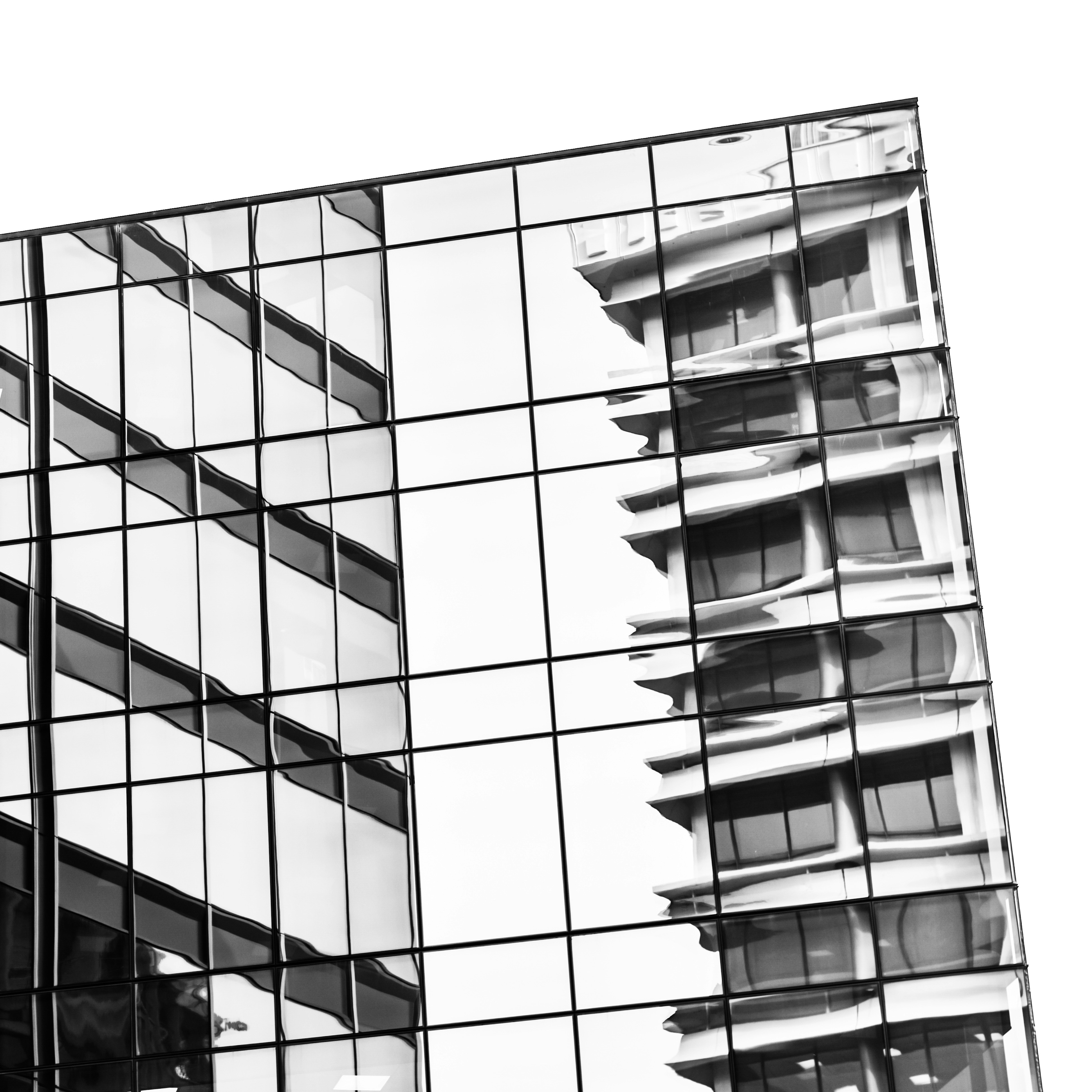 Photo by sschusterphotoart