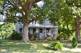 Old farmhouse surrounded by large trees and greenery.