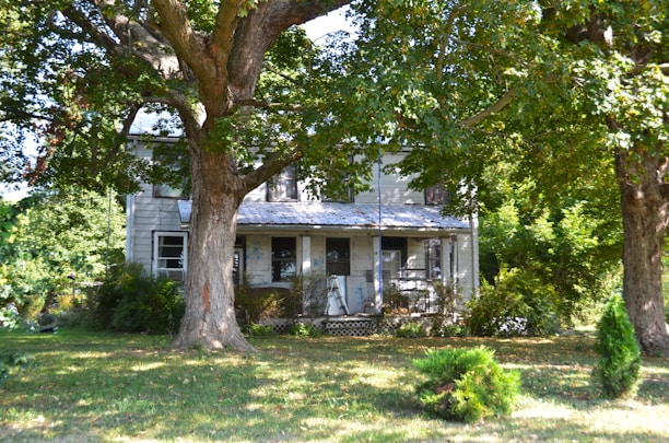 Old farmhouse surrounded by large trees and greenery.