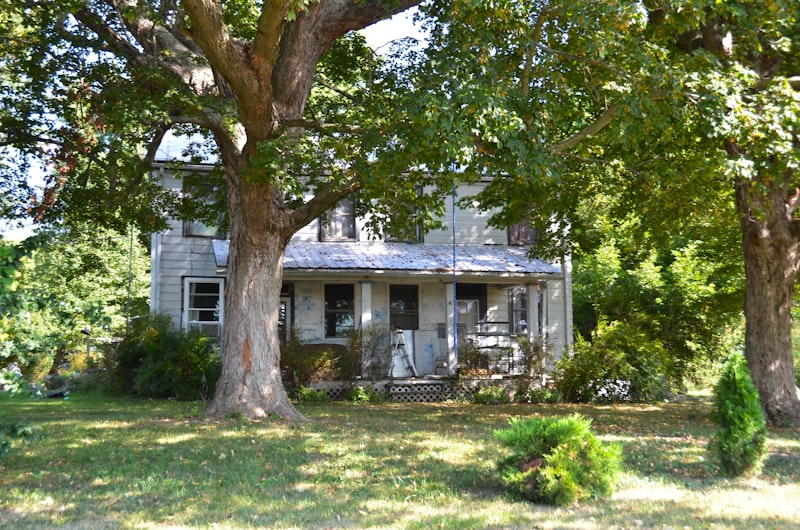 A weathered residential home behind two large trees, with faded paint and an unkempt porch