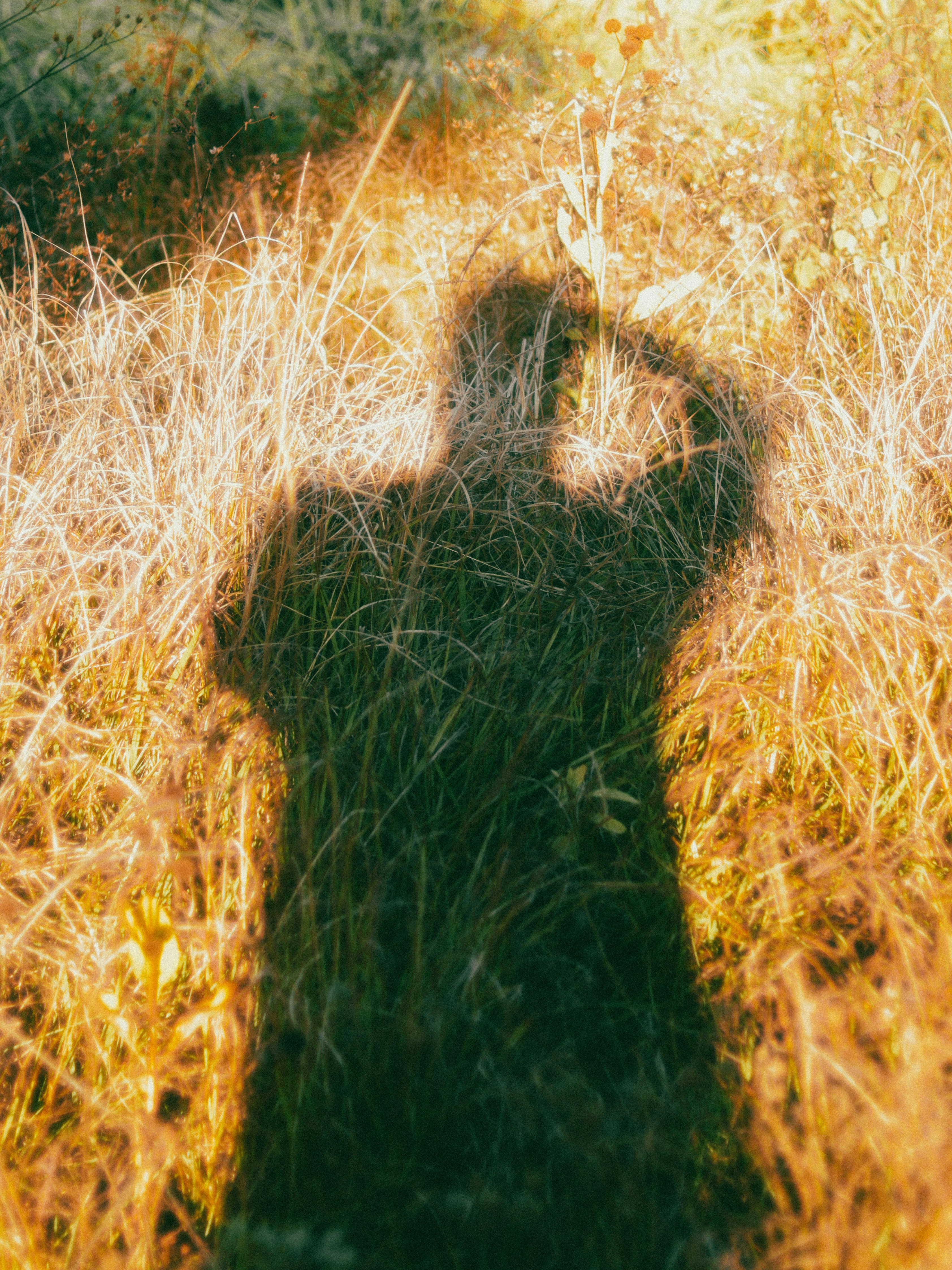 Photo by leonardodbi