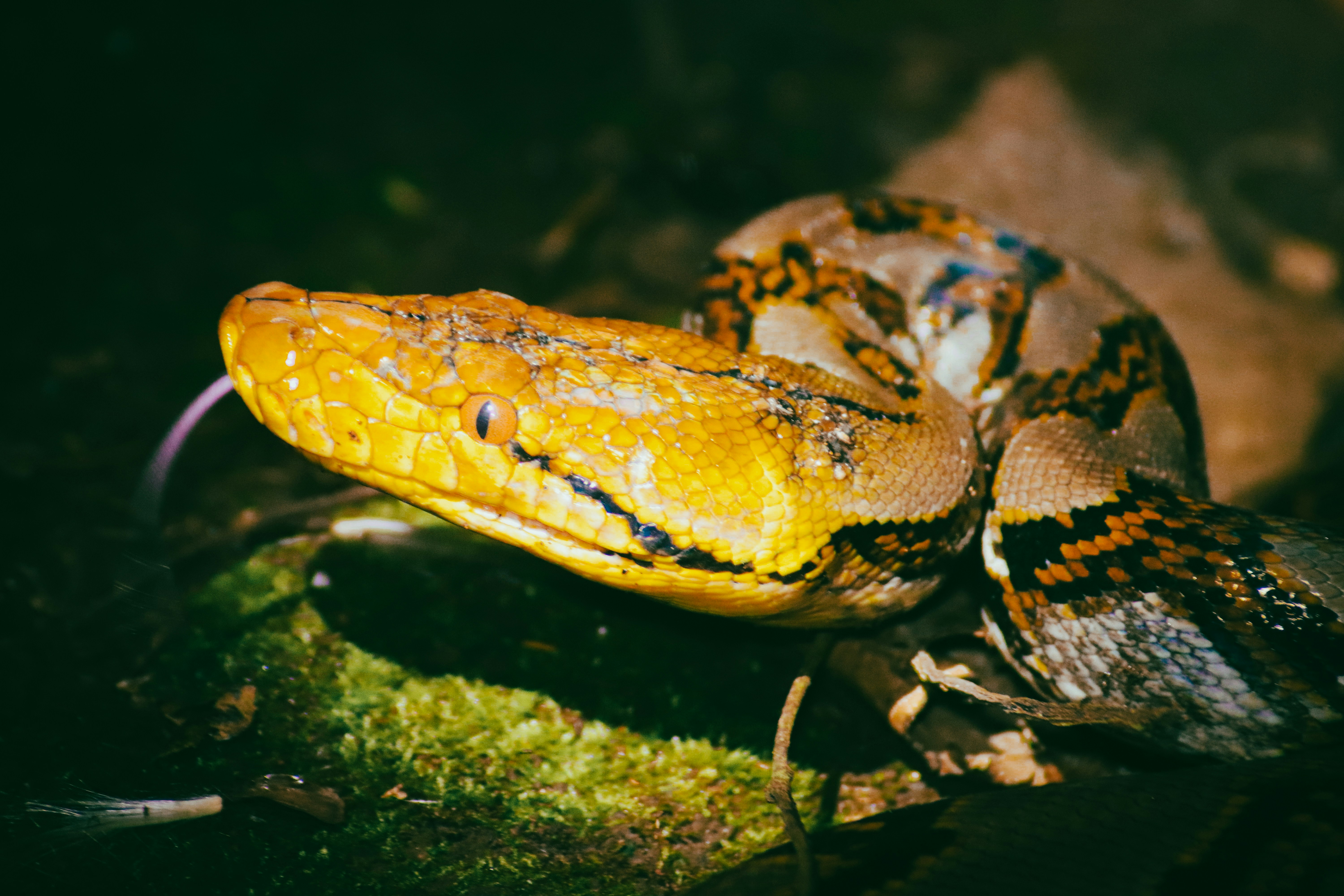 Photo by adityarizqiqa_