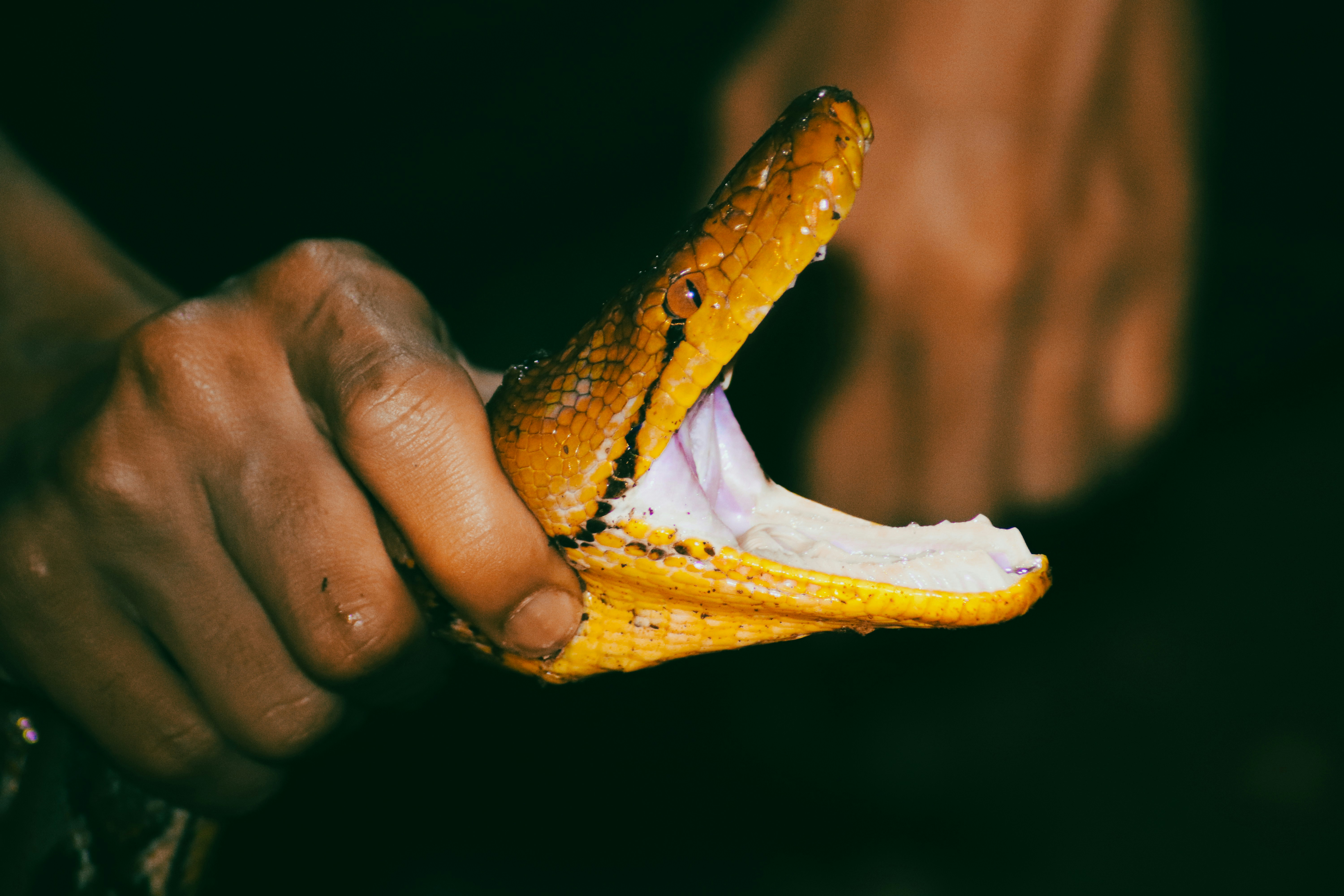 Photo by adityarizqiqa_