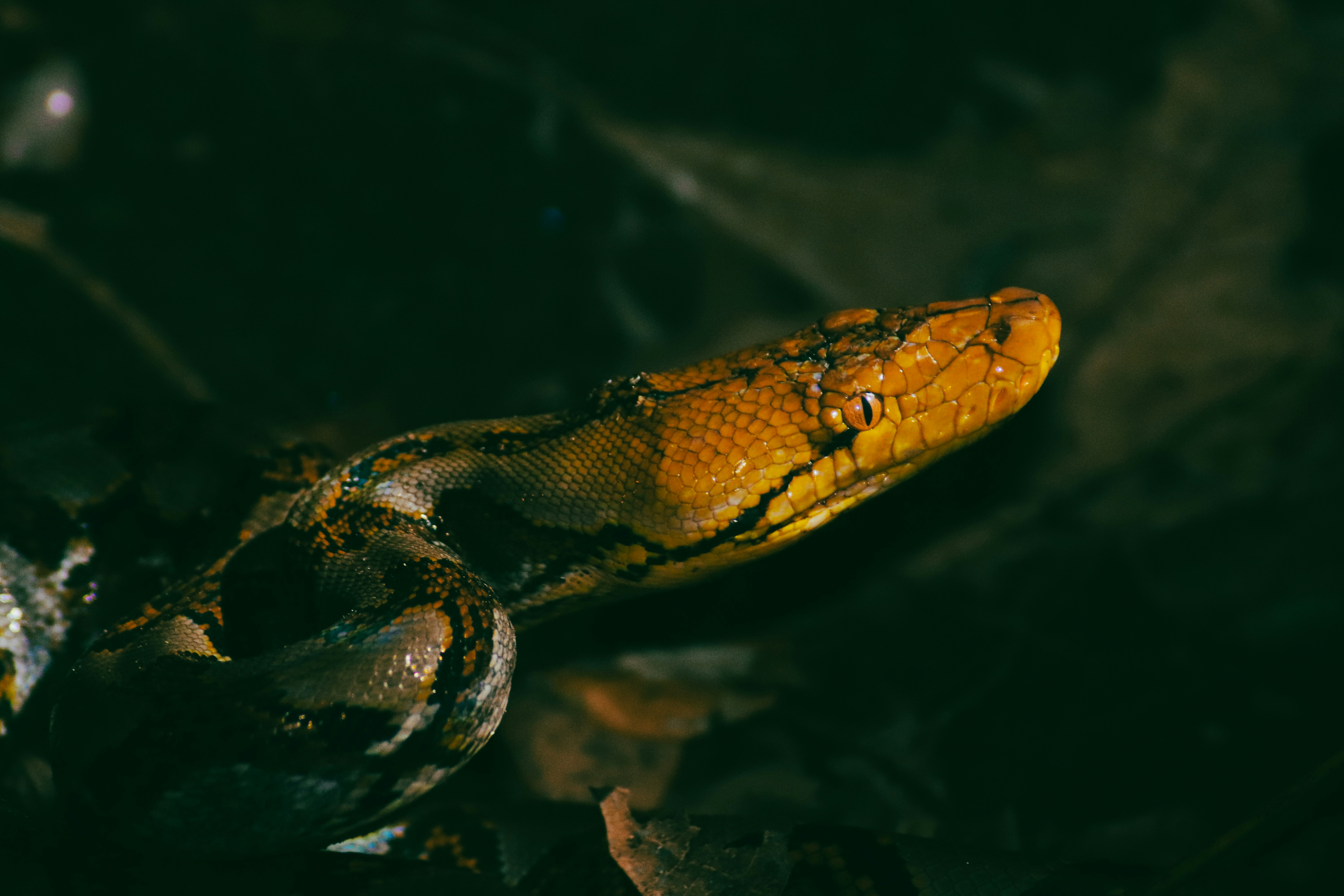 Photo by adityarizqiqa_