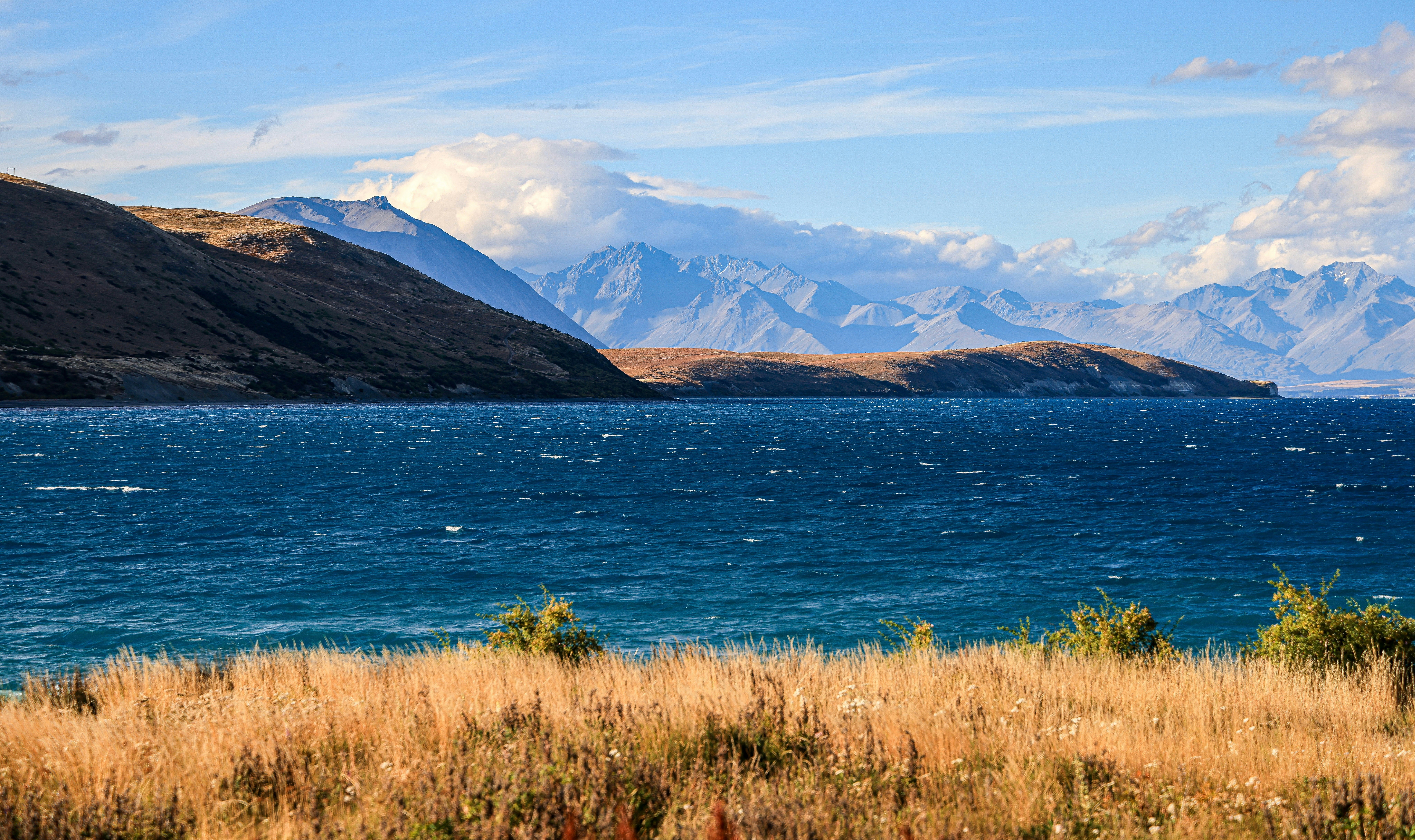 Photo by maximilian_brand