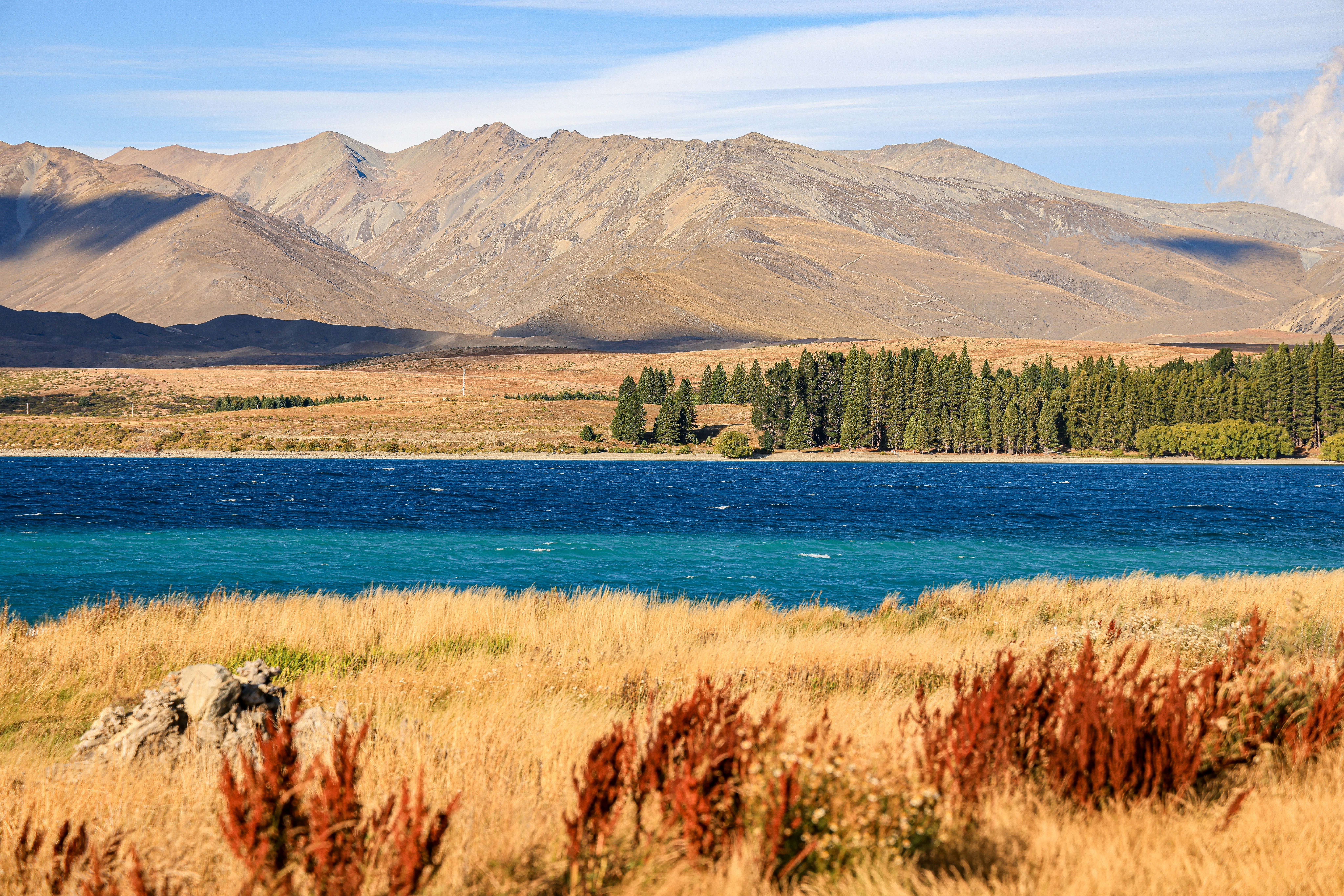 Photo by maximilian_brand