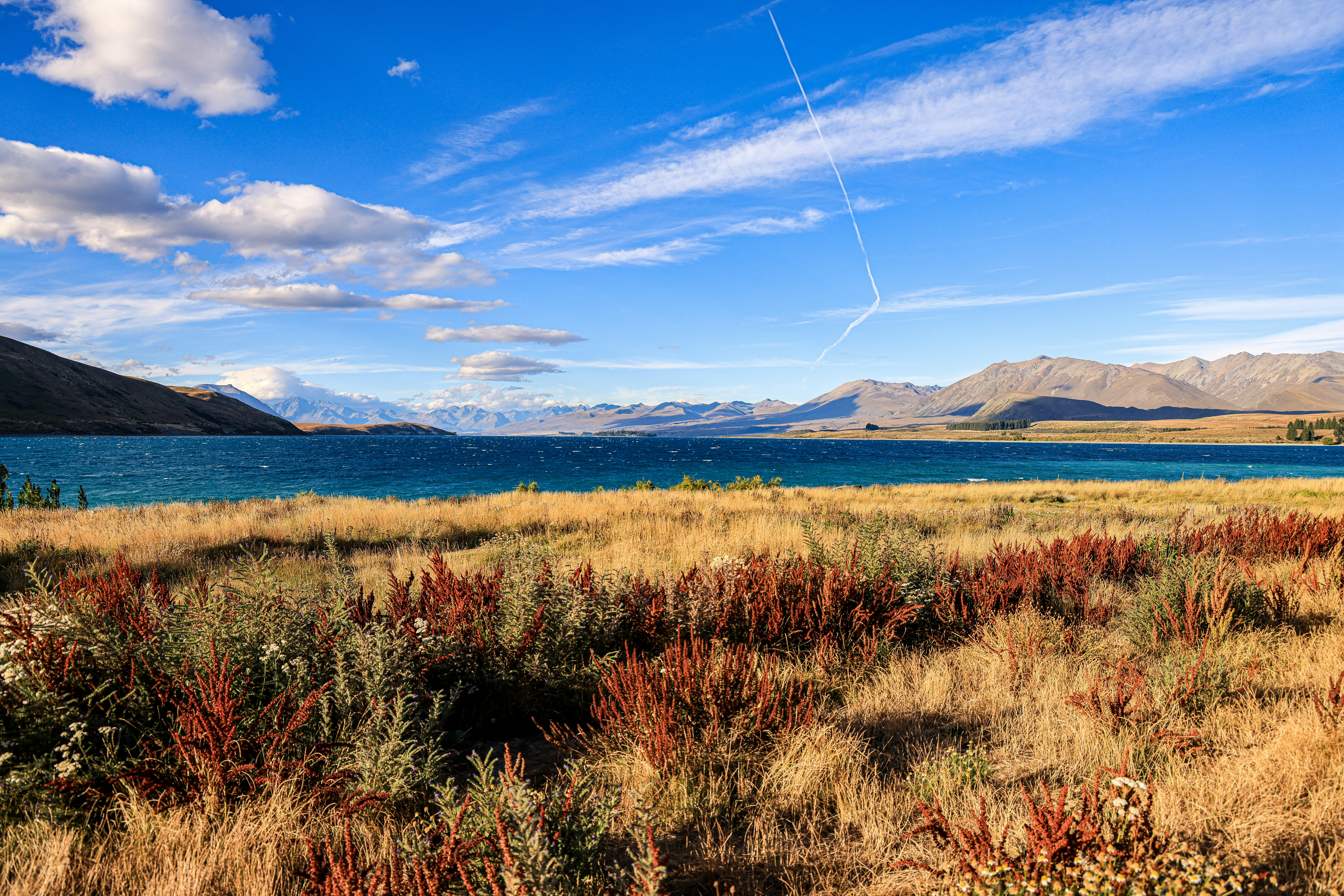 Photo by maximilian_brand