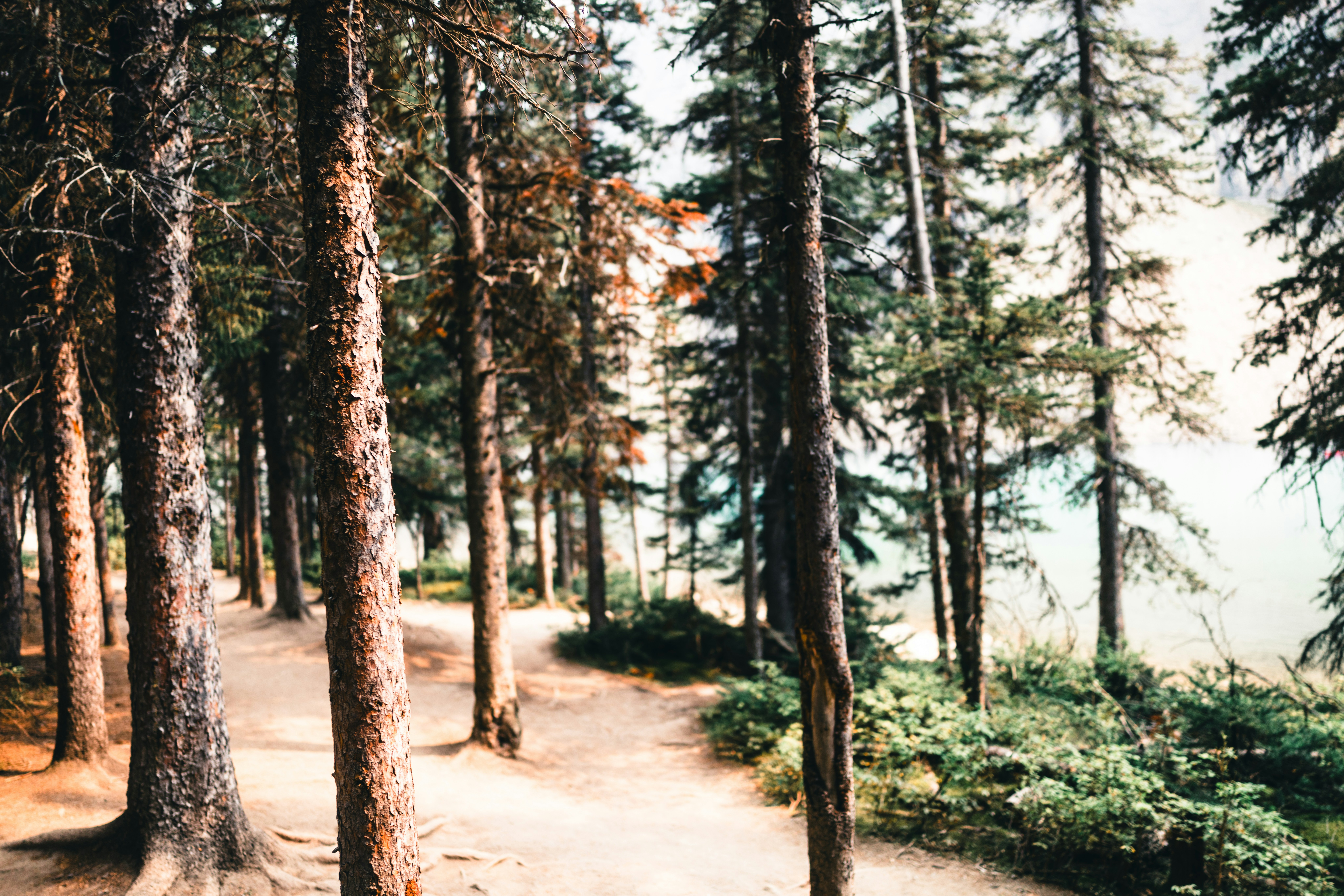 Photo by lureofadventure