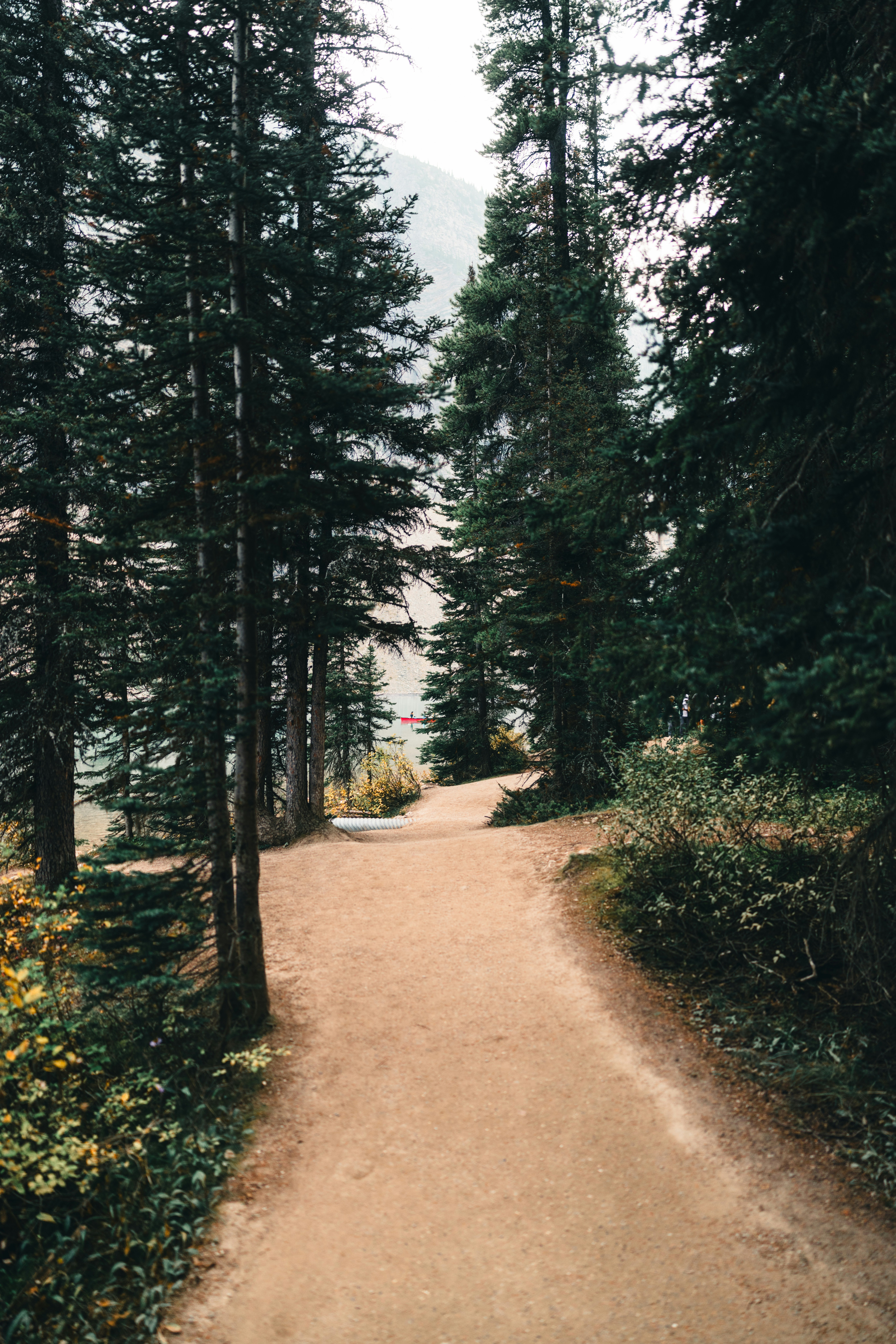 Photo by lureofadventure