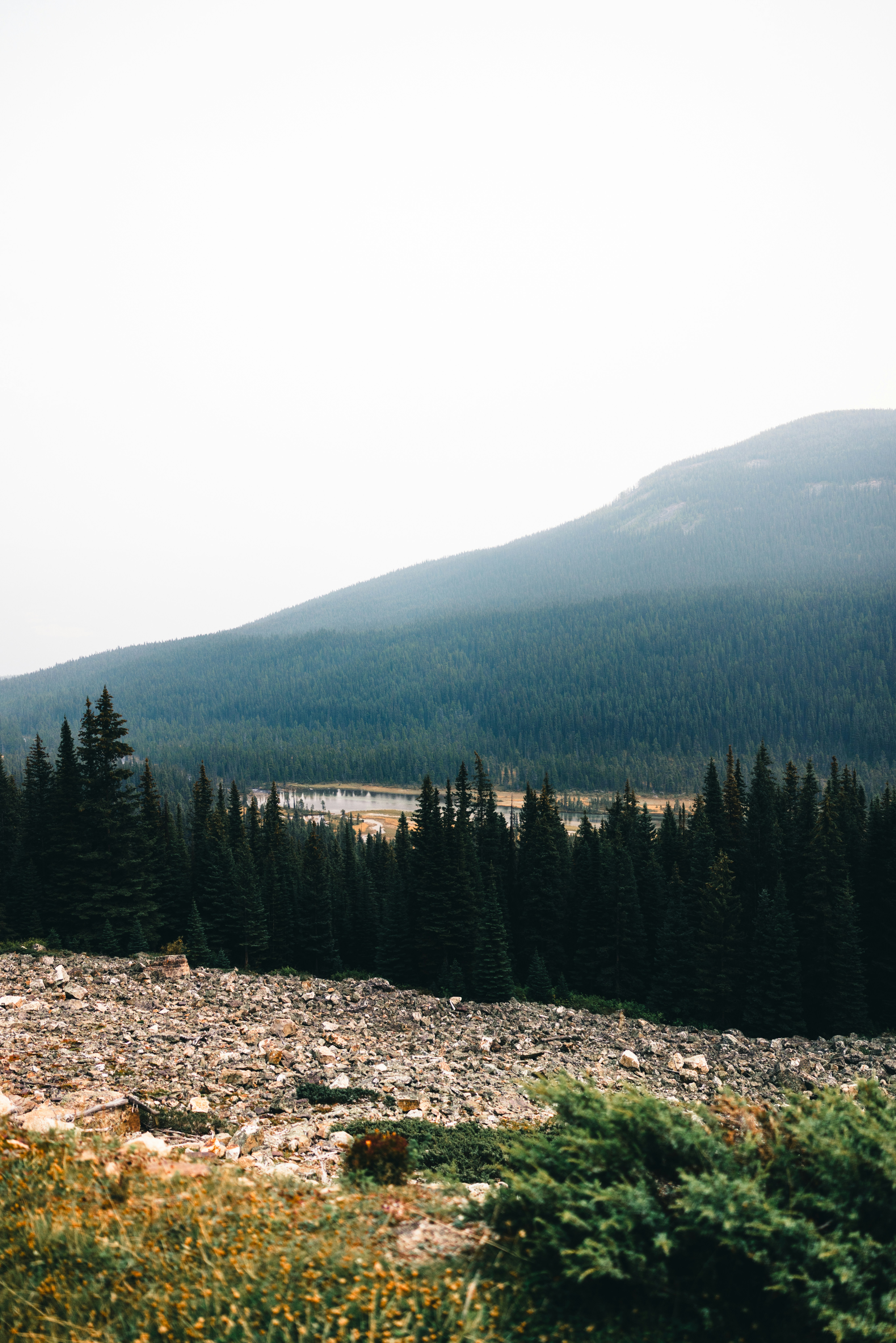 Photo by lureofadventure