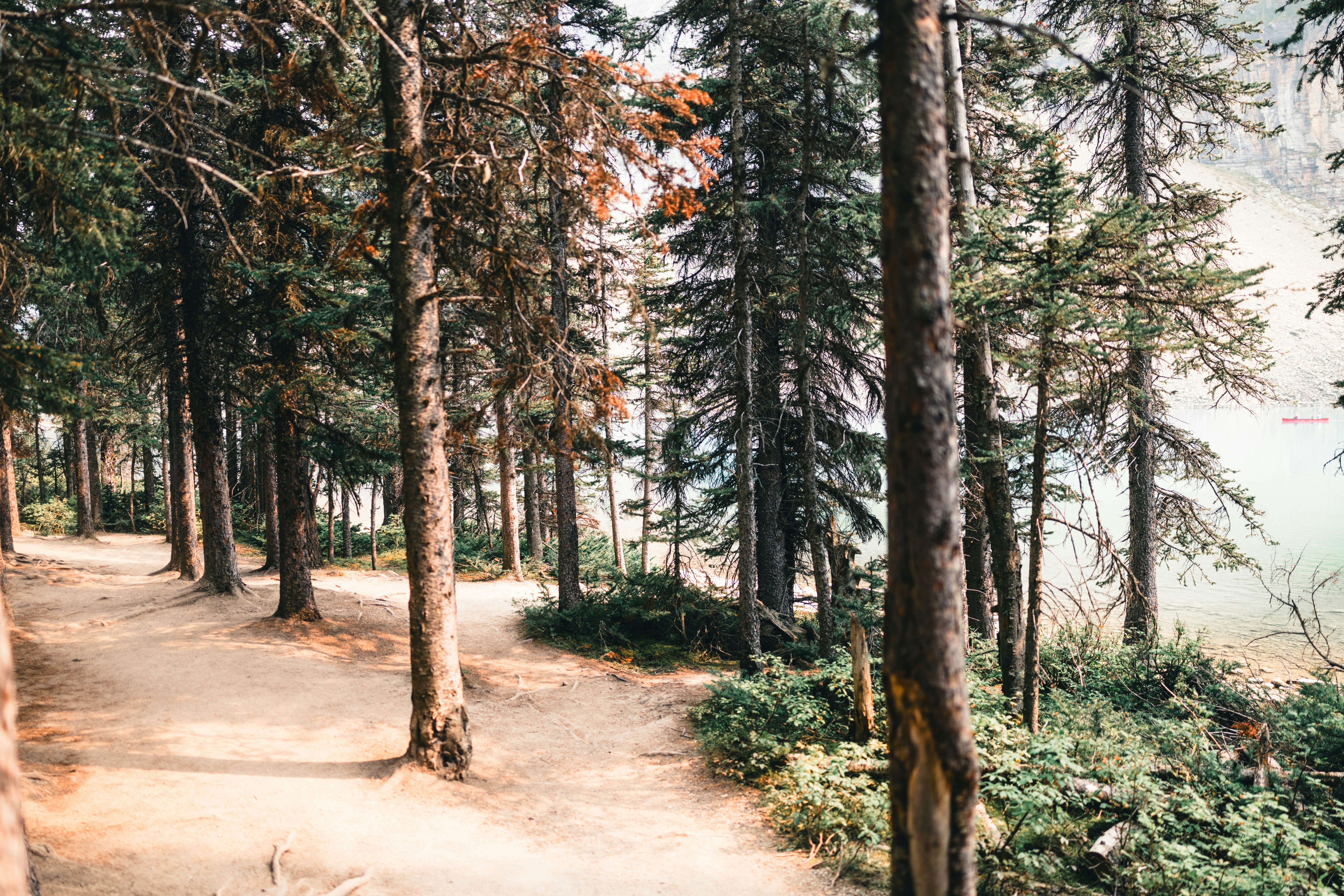 Photo by lureofadventure