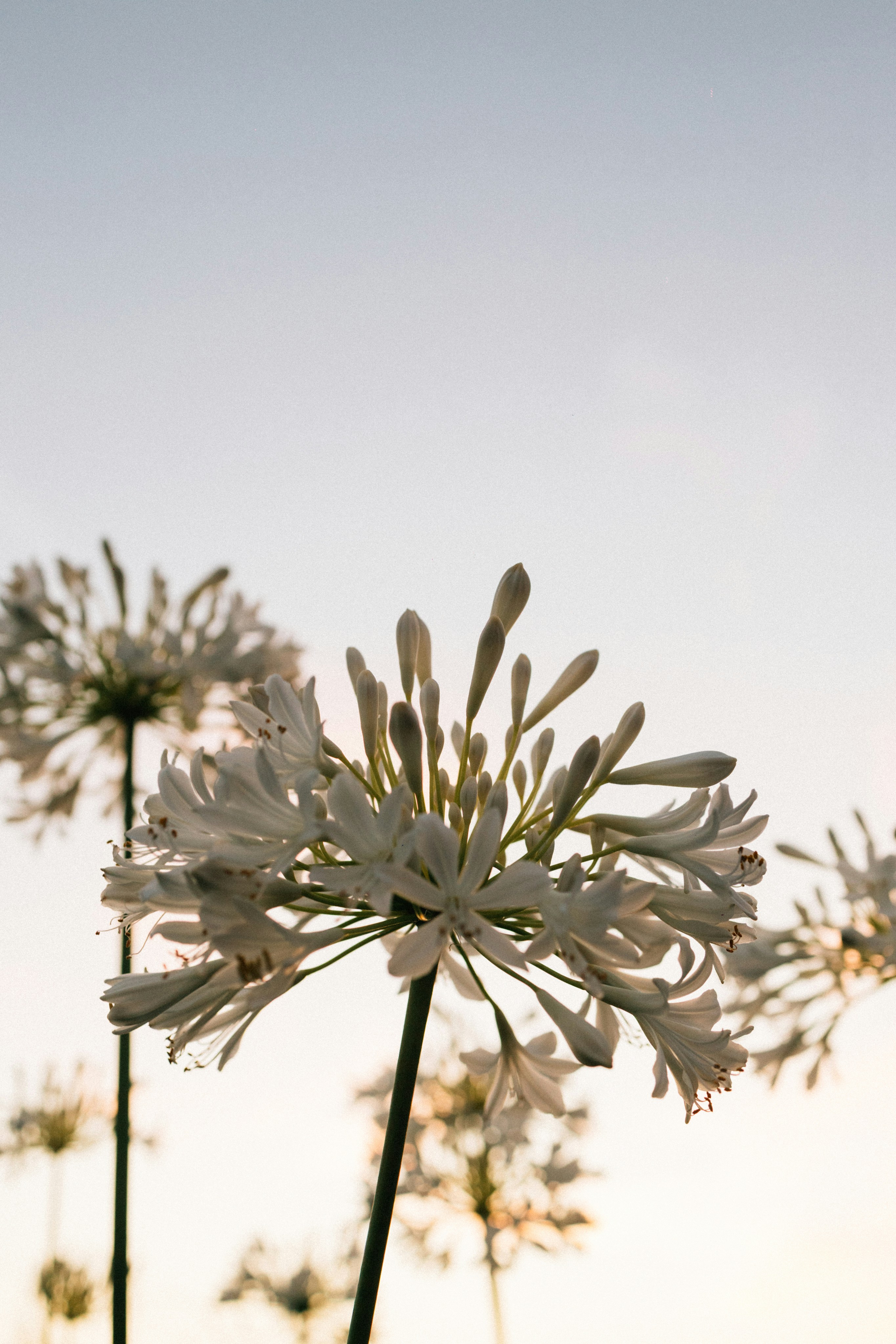 Photo by tsuyoshikozu