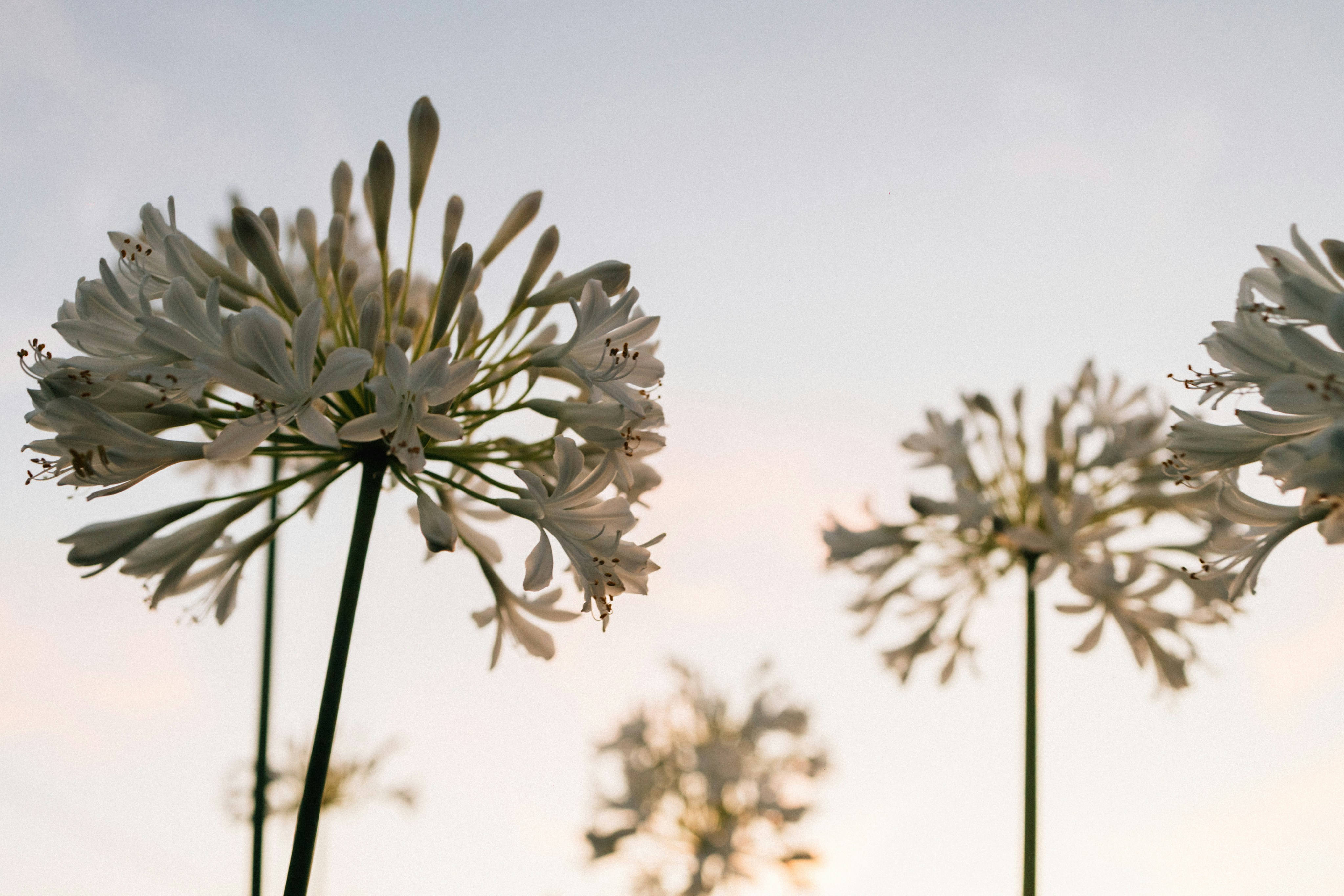 Photo by tsuyoshikozu