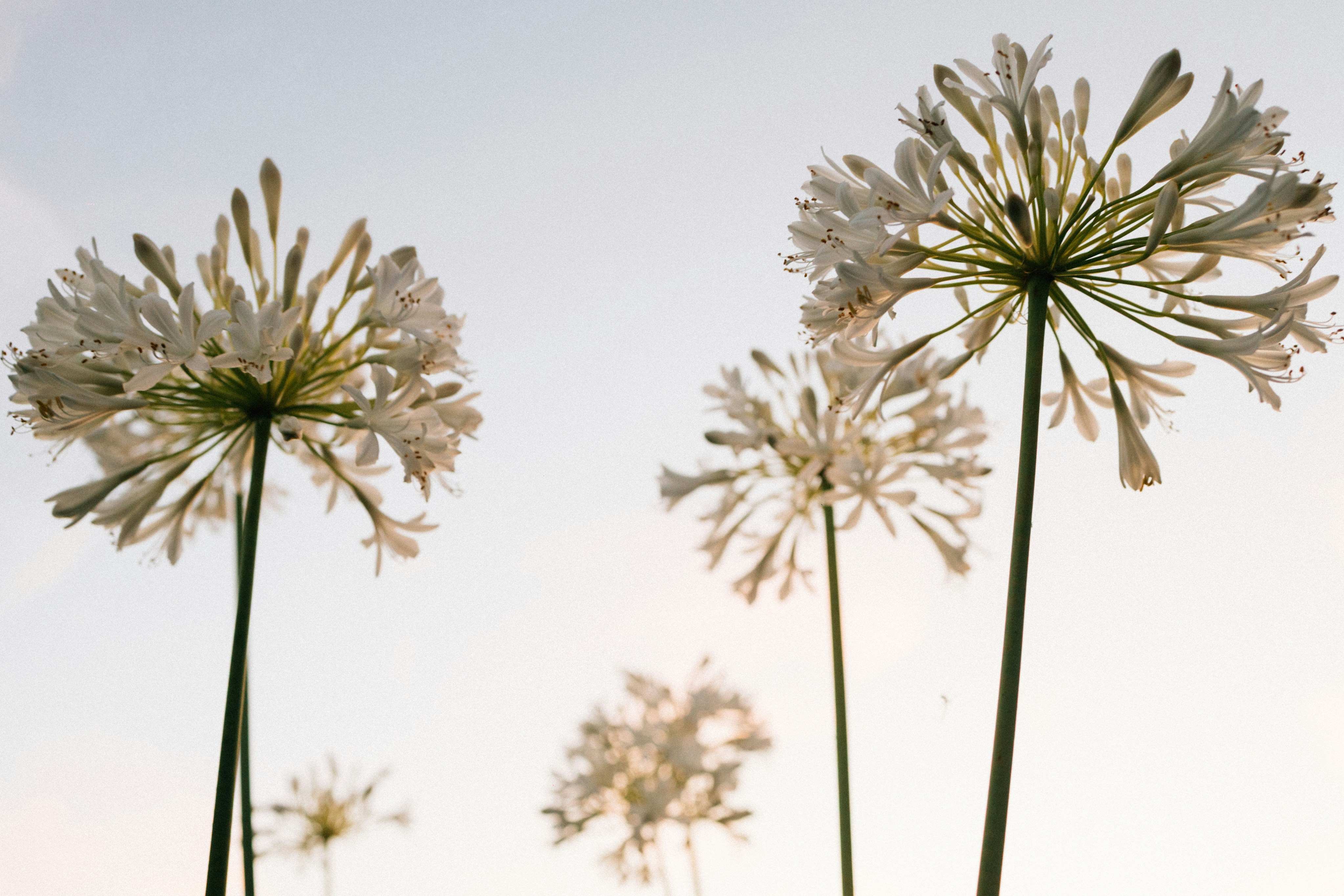 Photo by tsuyoshikozu