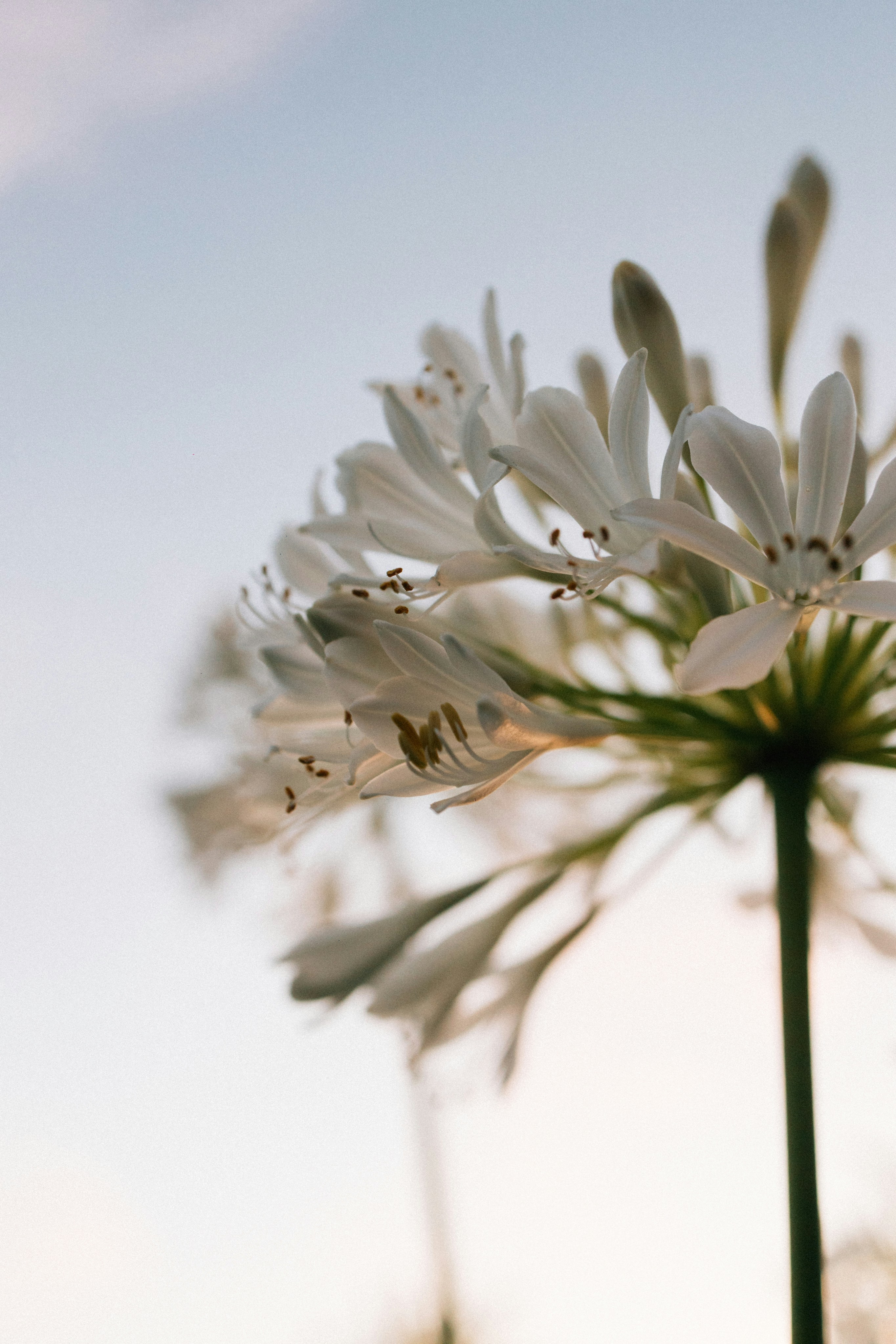 Photo by tsuyoshikozu