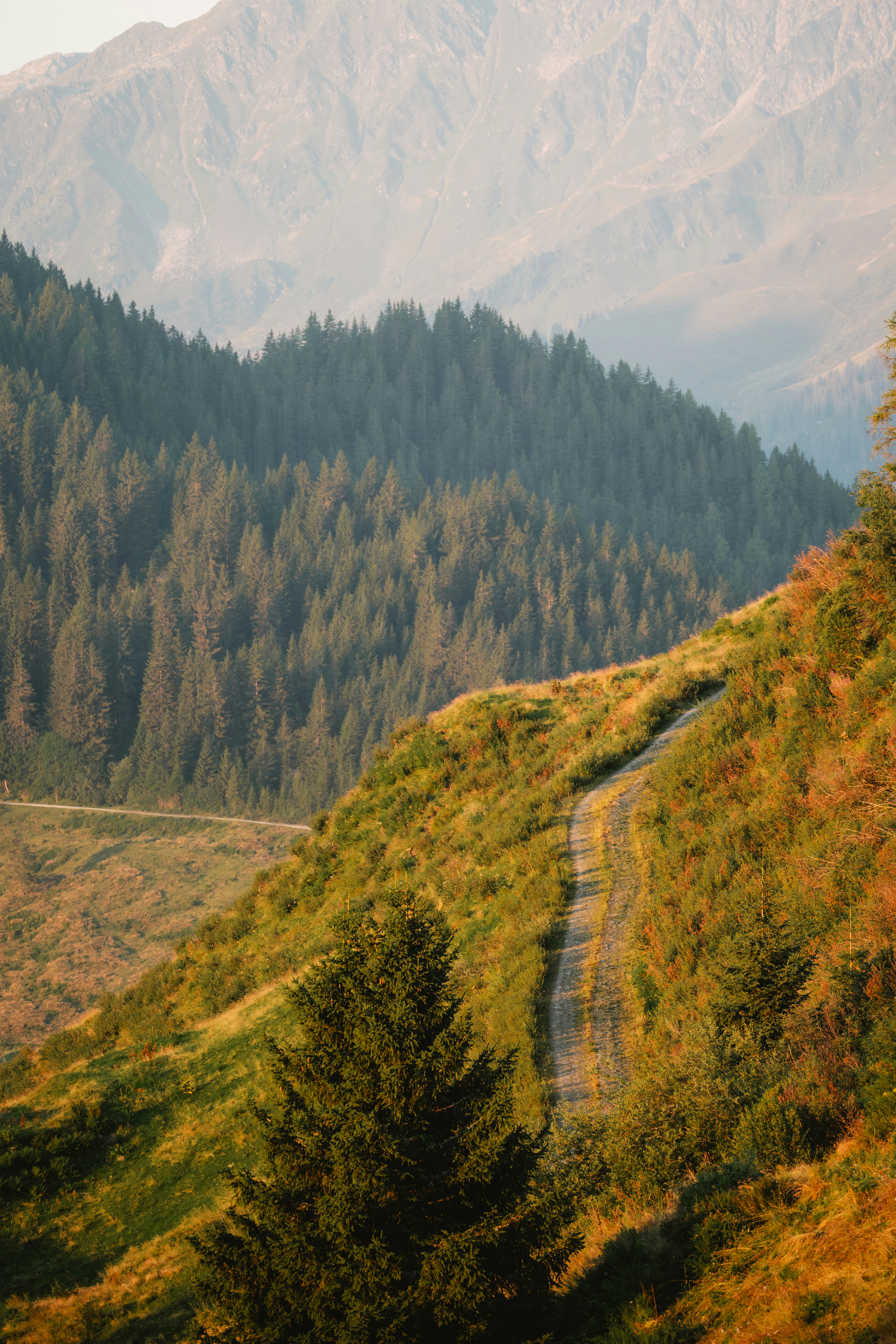 Photo by ahmetyuksek