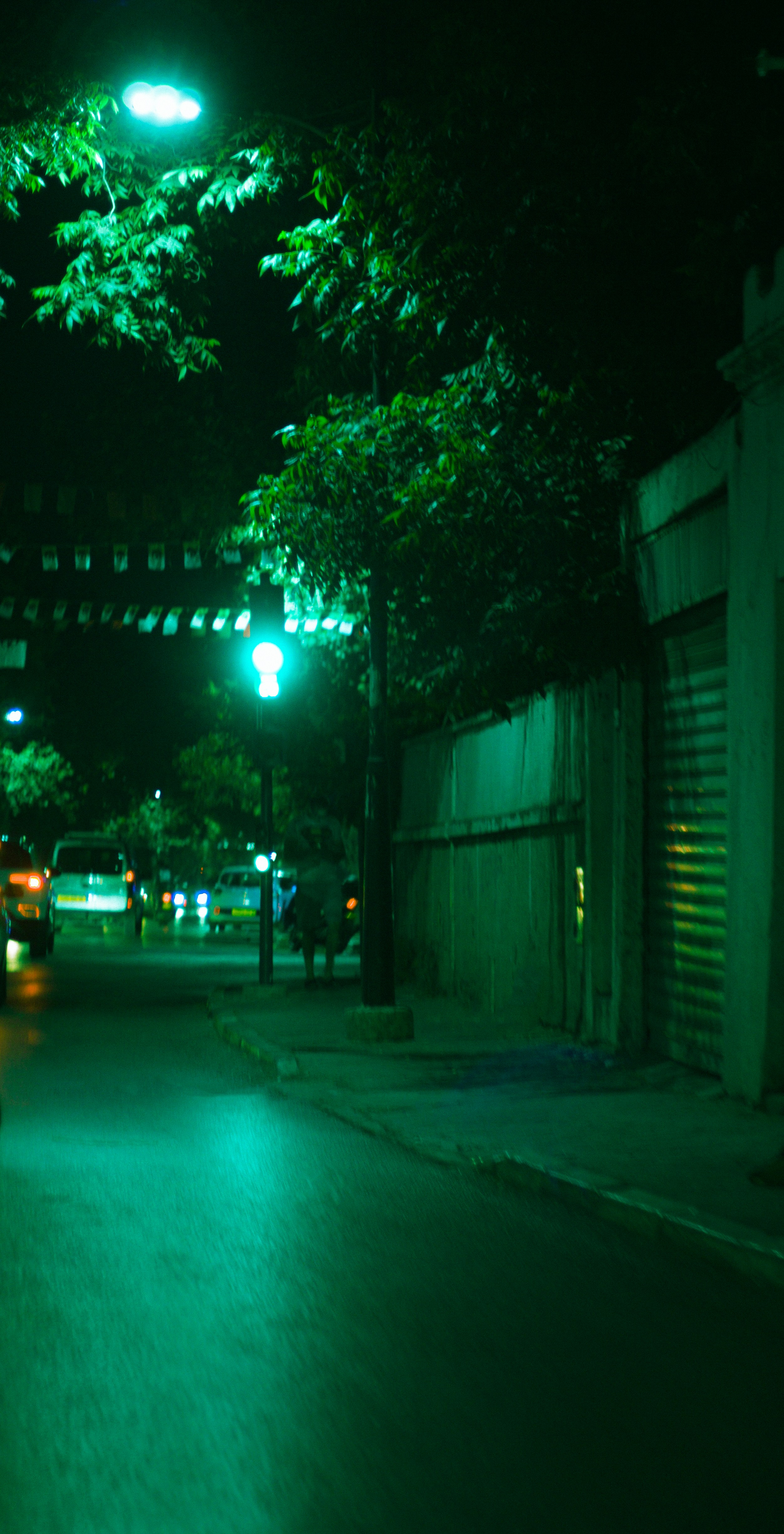 Photo by fethibenattallah