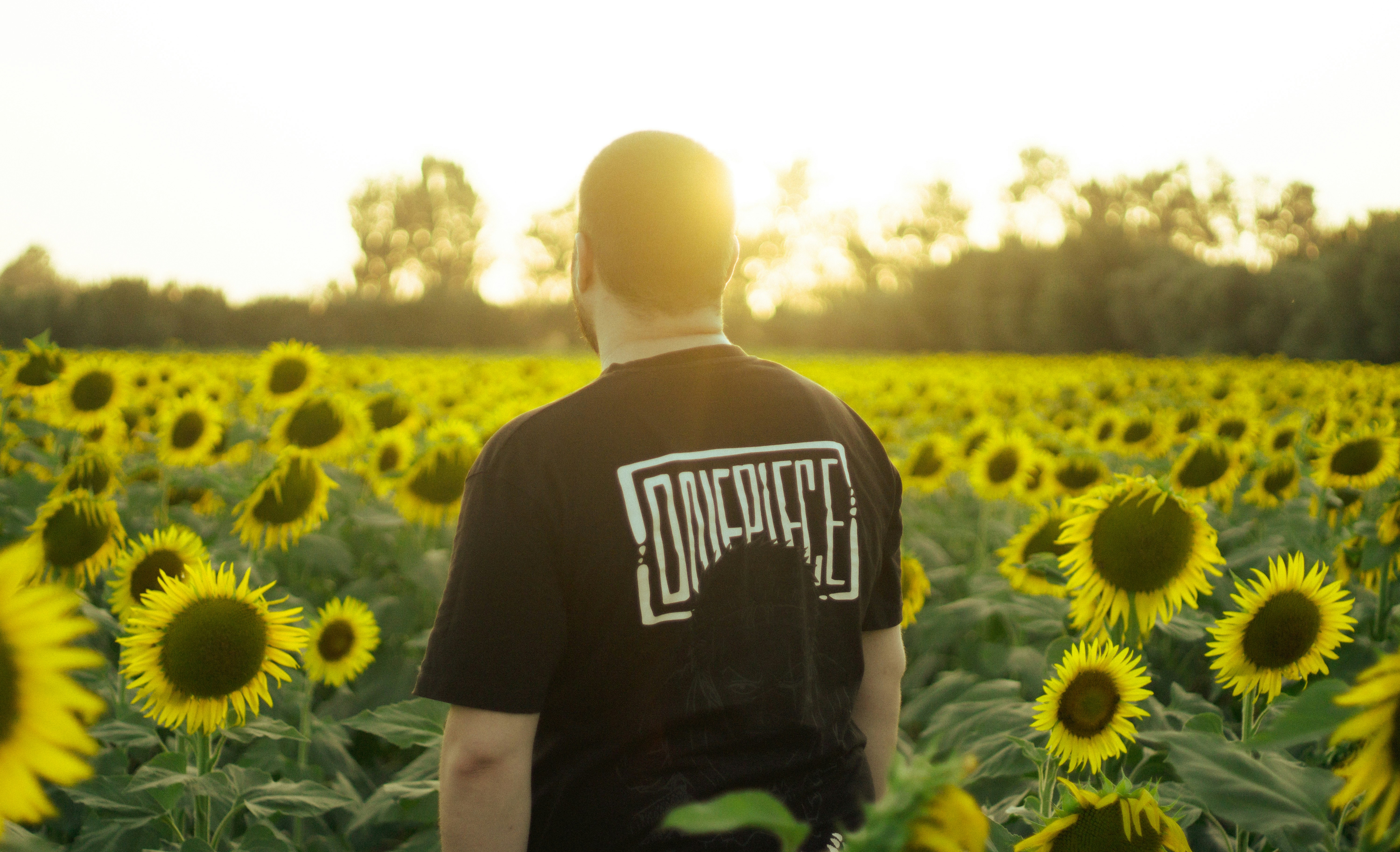 Man standing in a sunflower field at sunset