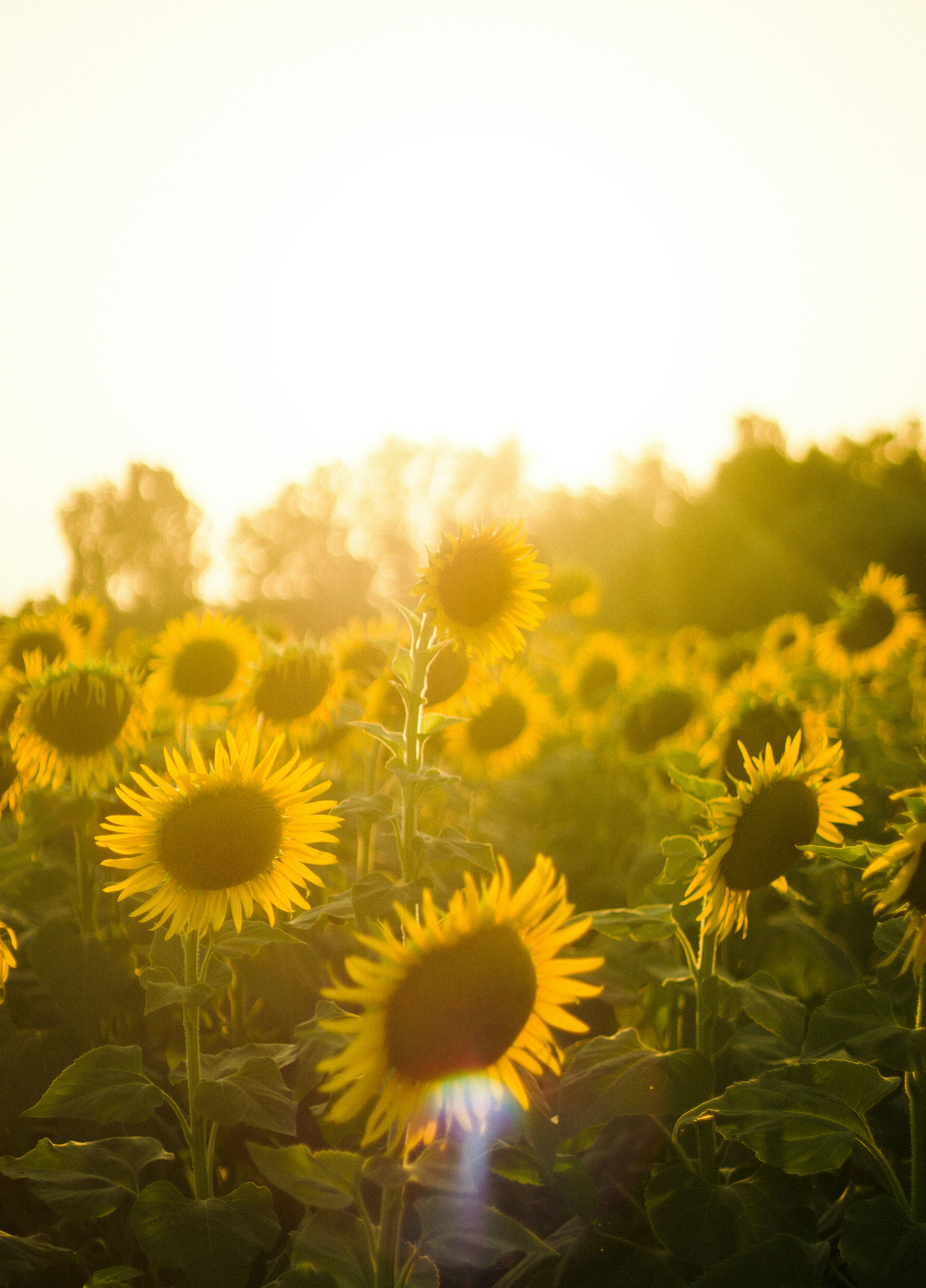 Photo by fethibenattallah