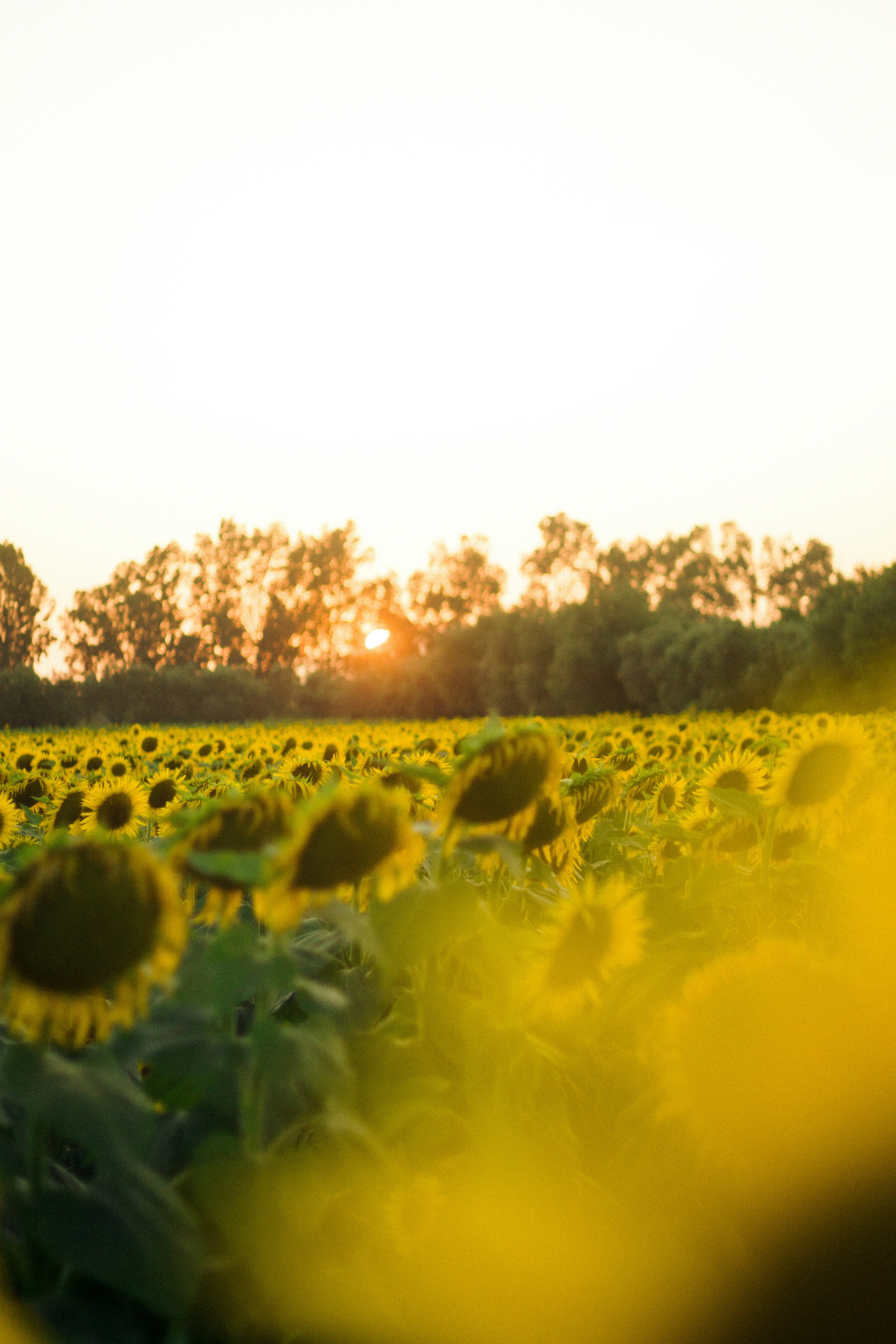 Photo by fethibenattallah