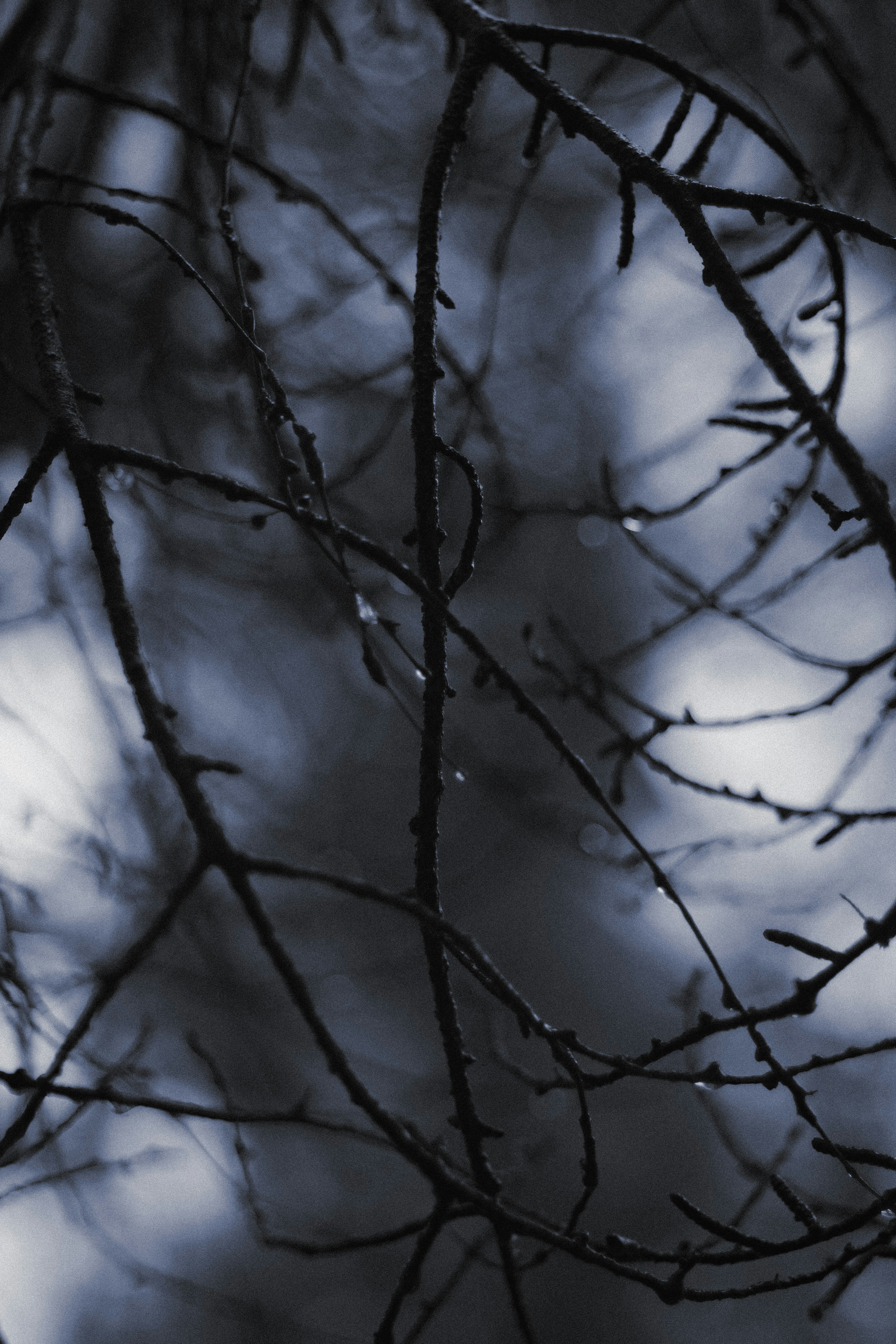 Photo by fethibenattallah